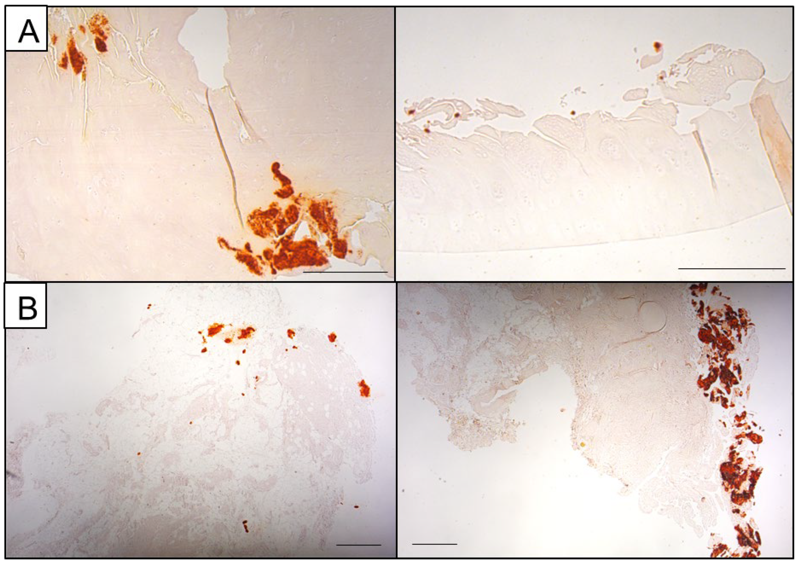 Gucdd 01 00007 g001 Gucdd 01 00007 g001