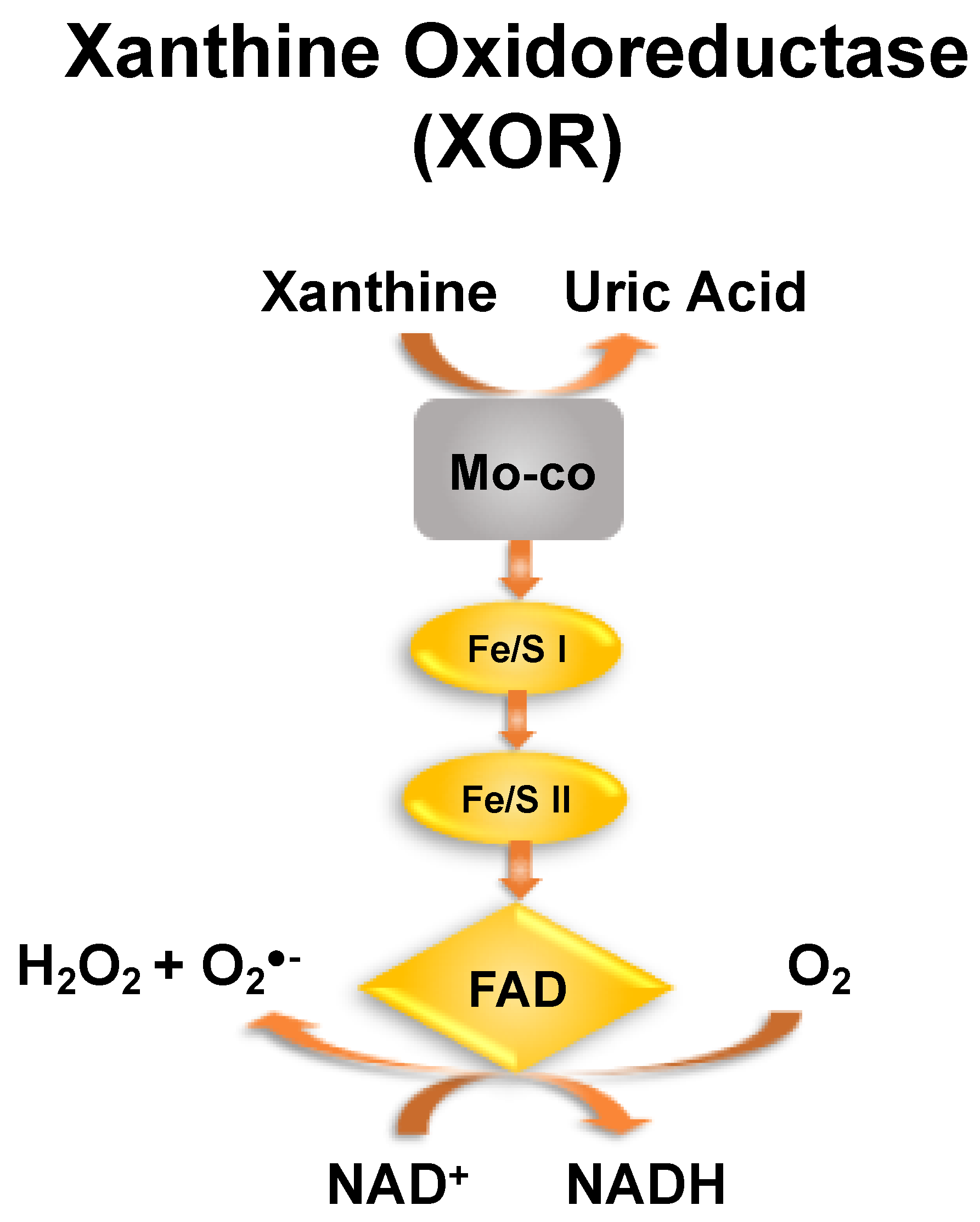 Gucdd 01 00011 g001 Gucdd 01 00011 g001