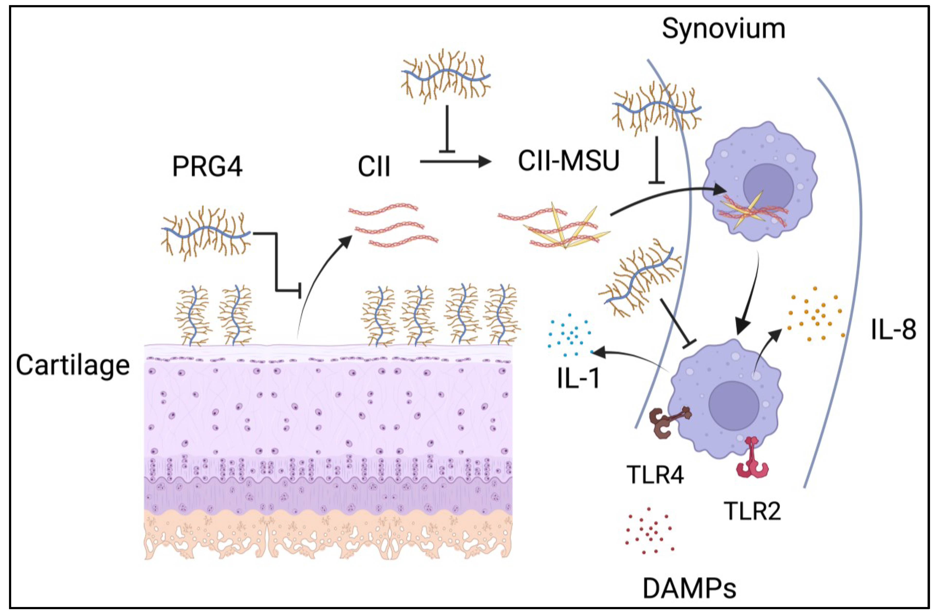 Gucdd 01 00012 g004 Gucdd 01 00012 g004