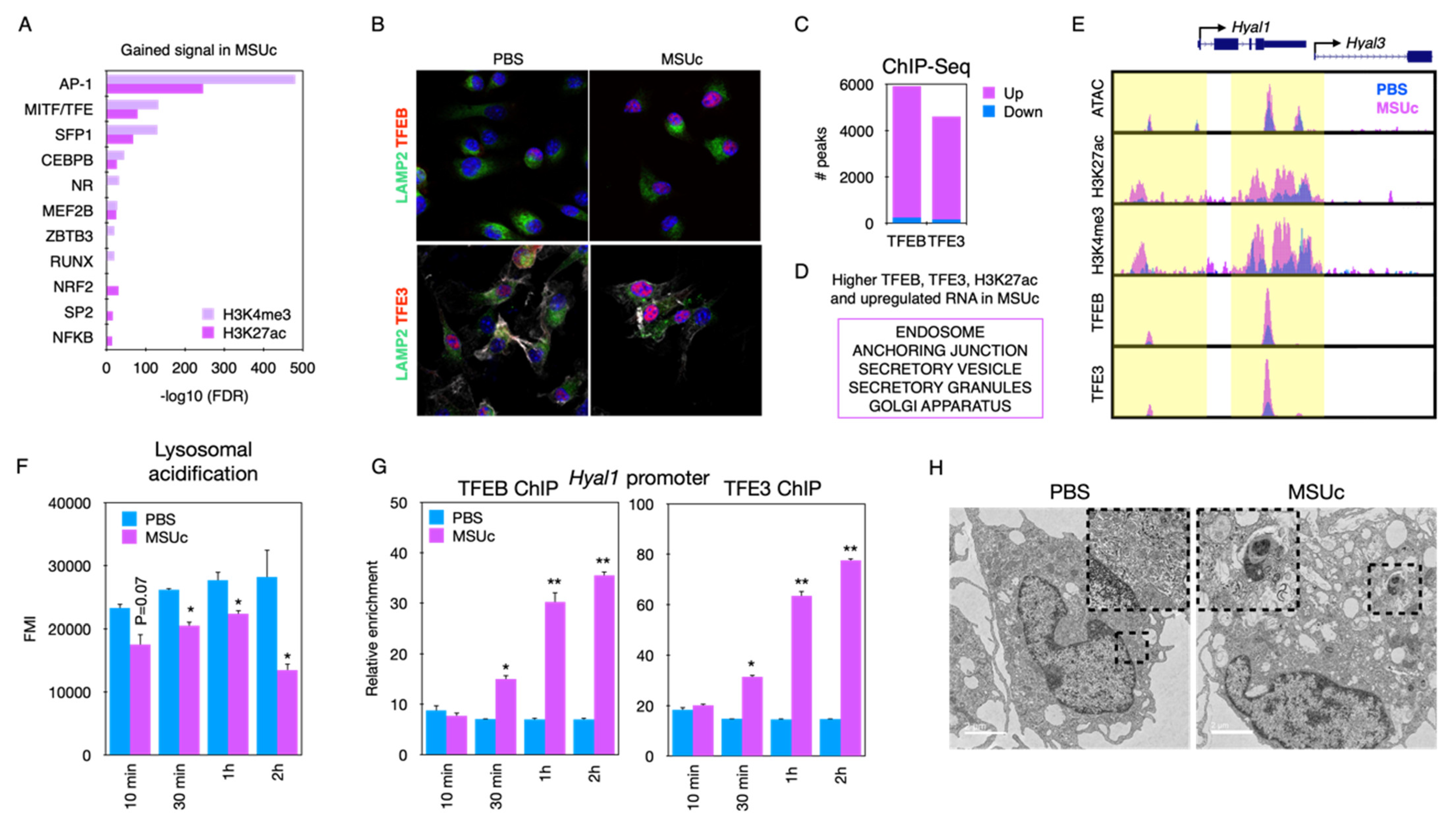 Gucdd 01 00015 g007 550