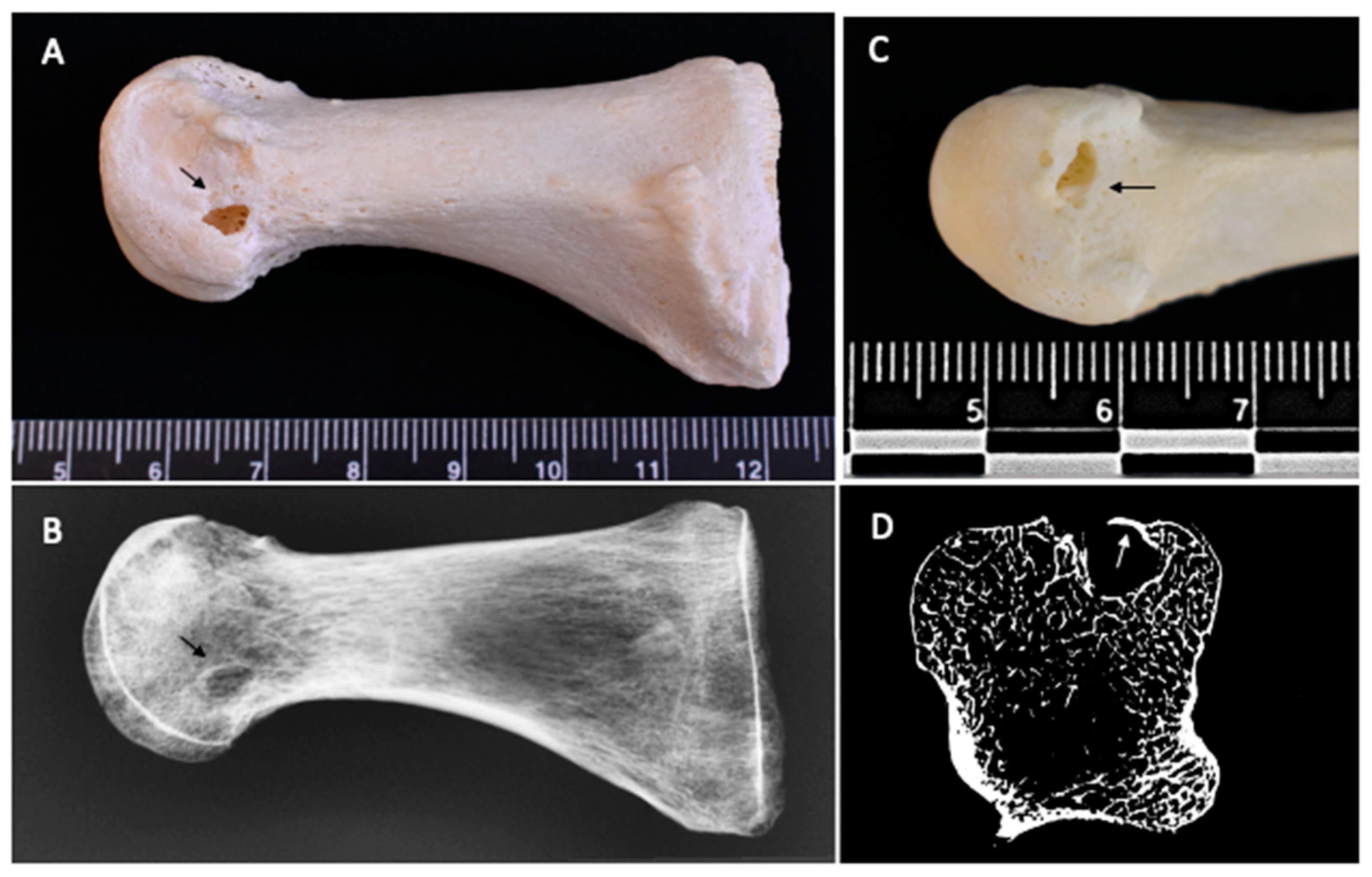 Gucdd 01 00018 g001 Gucdd 01 00018 g001