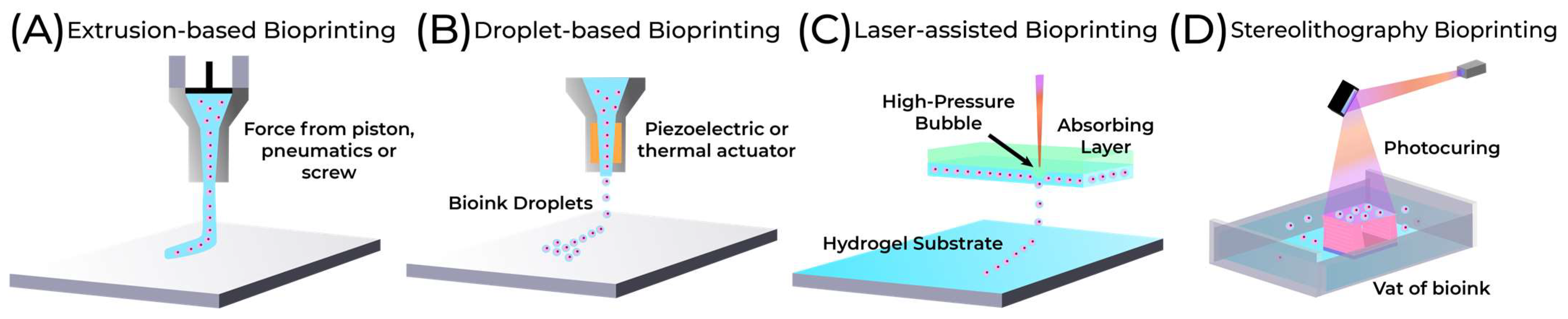 Hardware 02 00001 g008