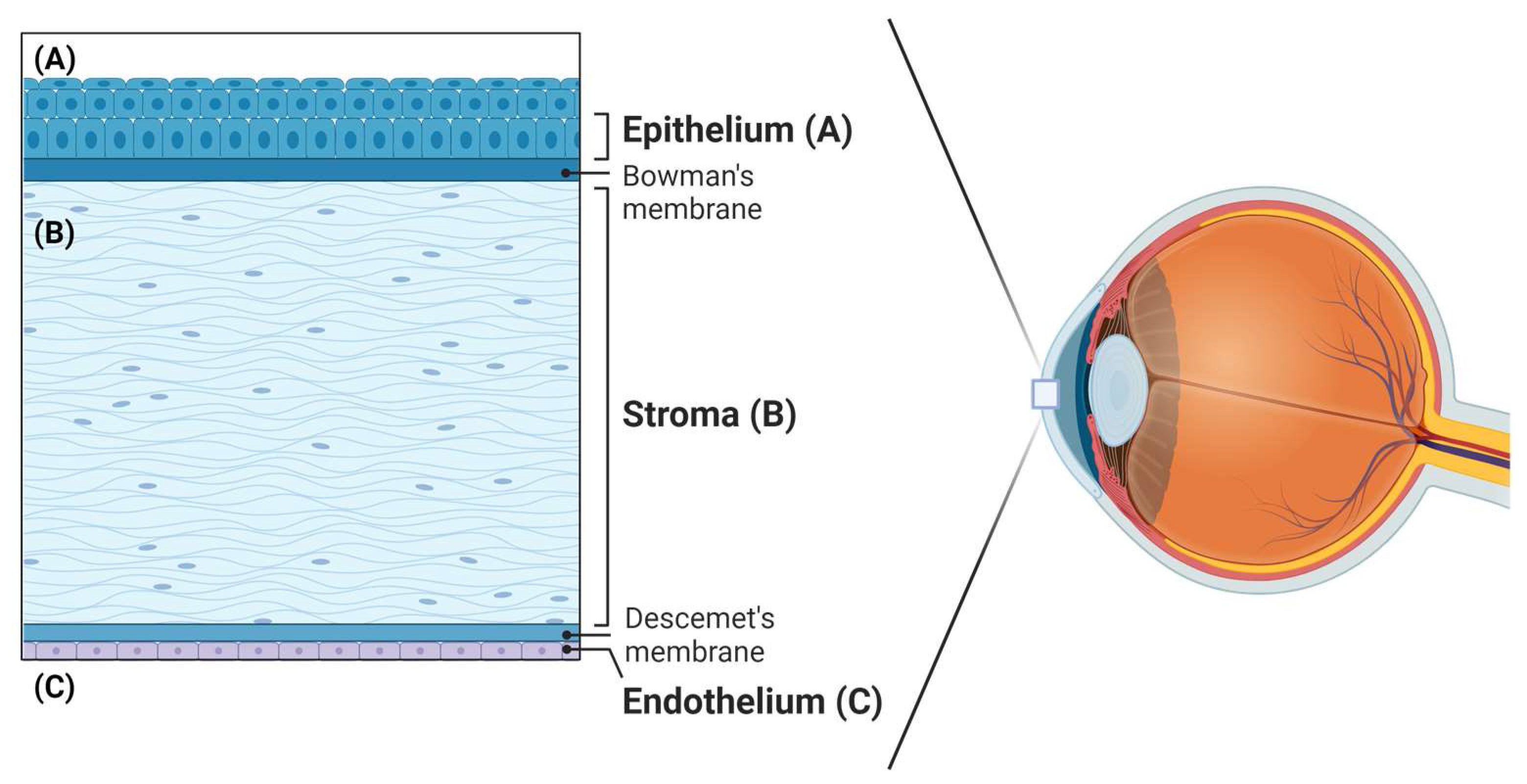 Hardware 02 00001 g009