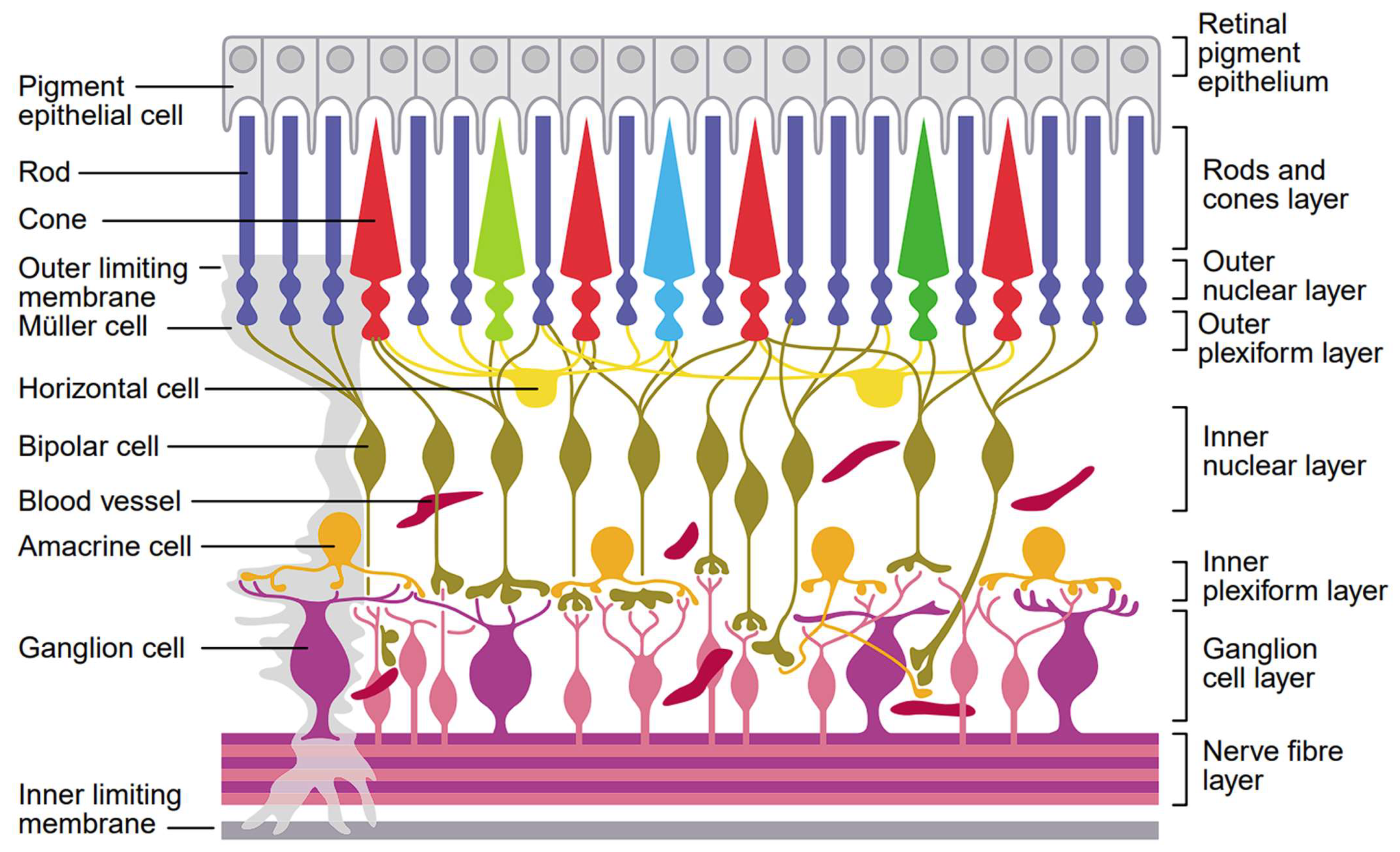 Hardware 02 00001 g010