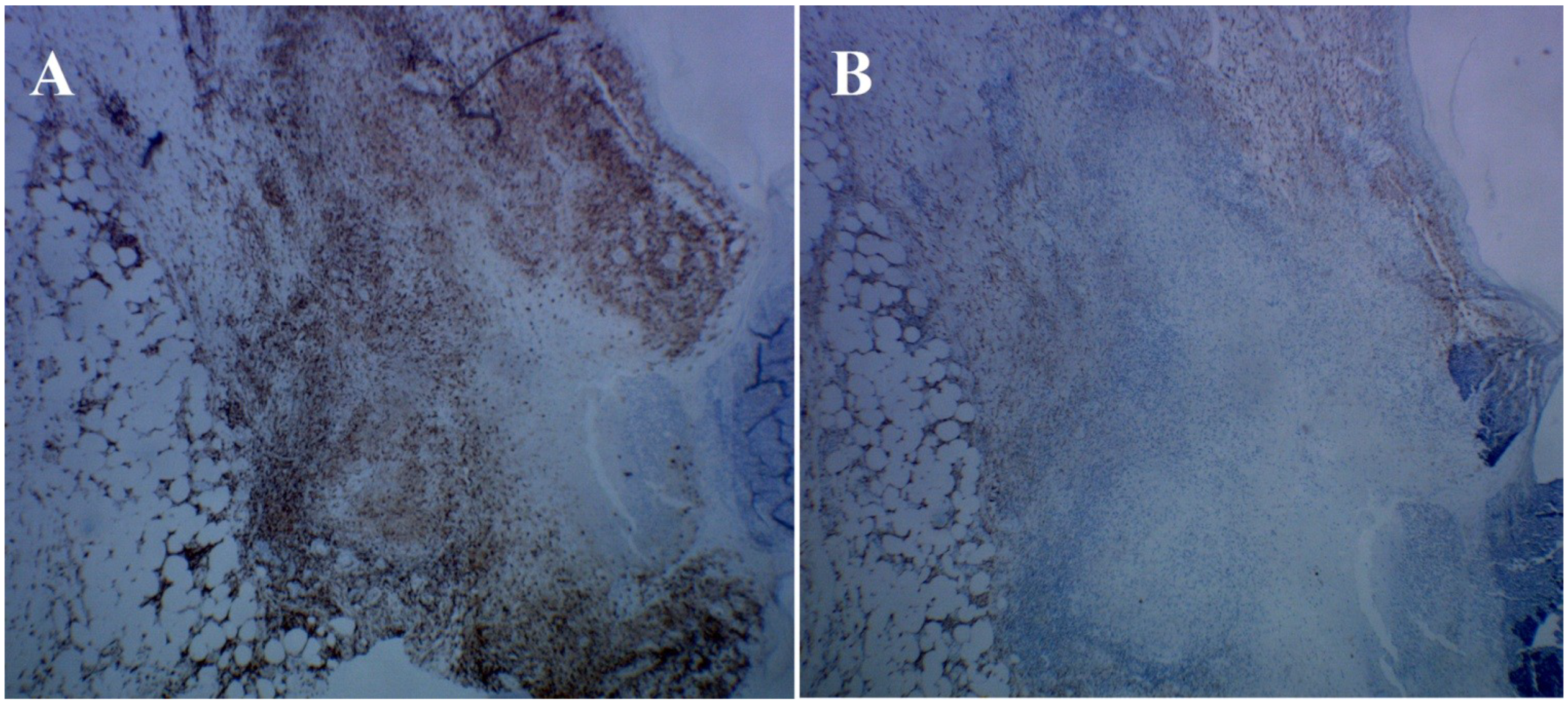 Healthcare 02 00338 g005