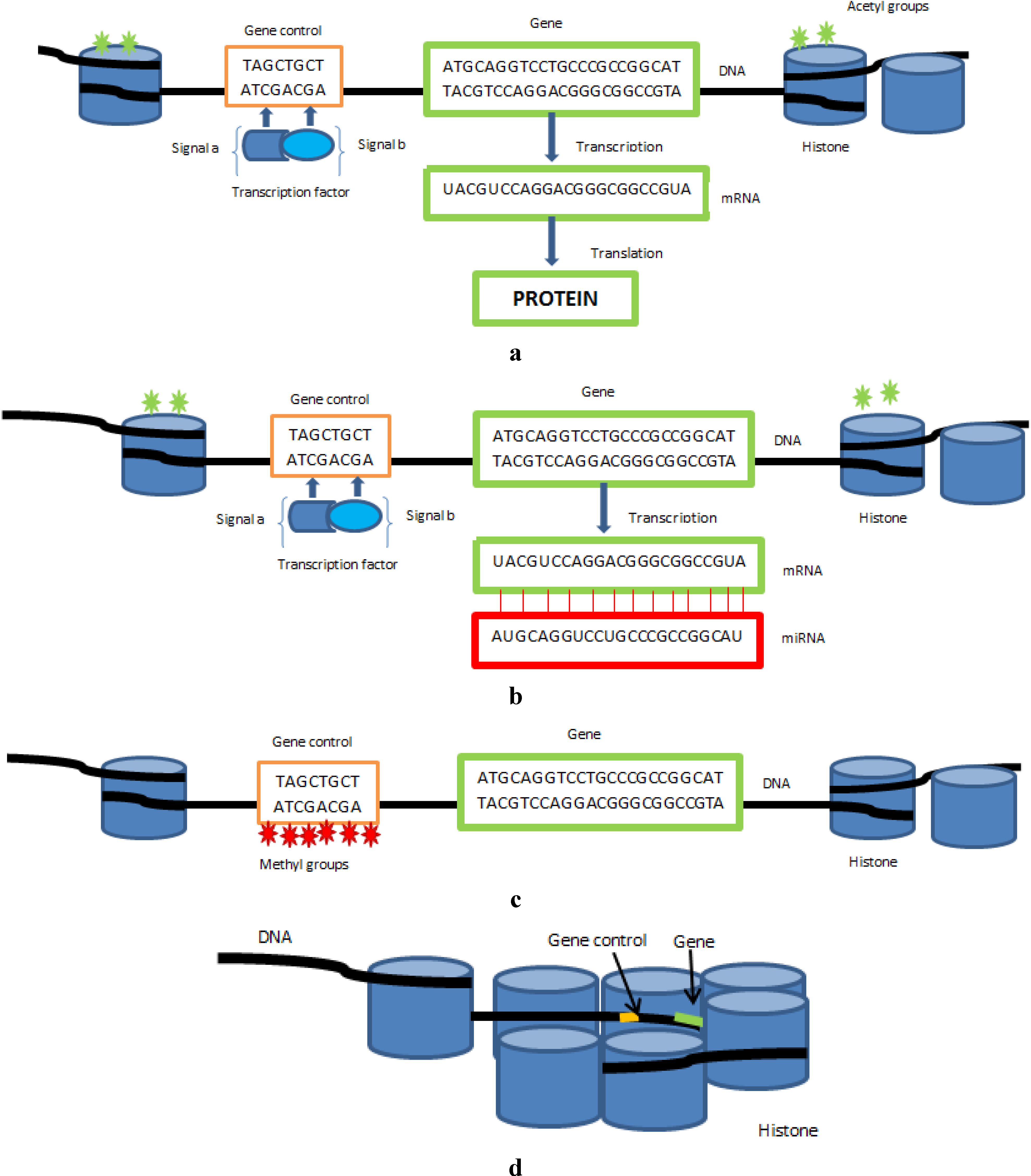 Healthcare Free Full Text Epigenetics Its Understanding Is Crucial To A Sustainable Healthcare System Html Healthcare Free Full Text Epigenetics Its Understanding Is Crucial To A Sustainable Healthcare System Html