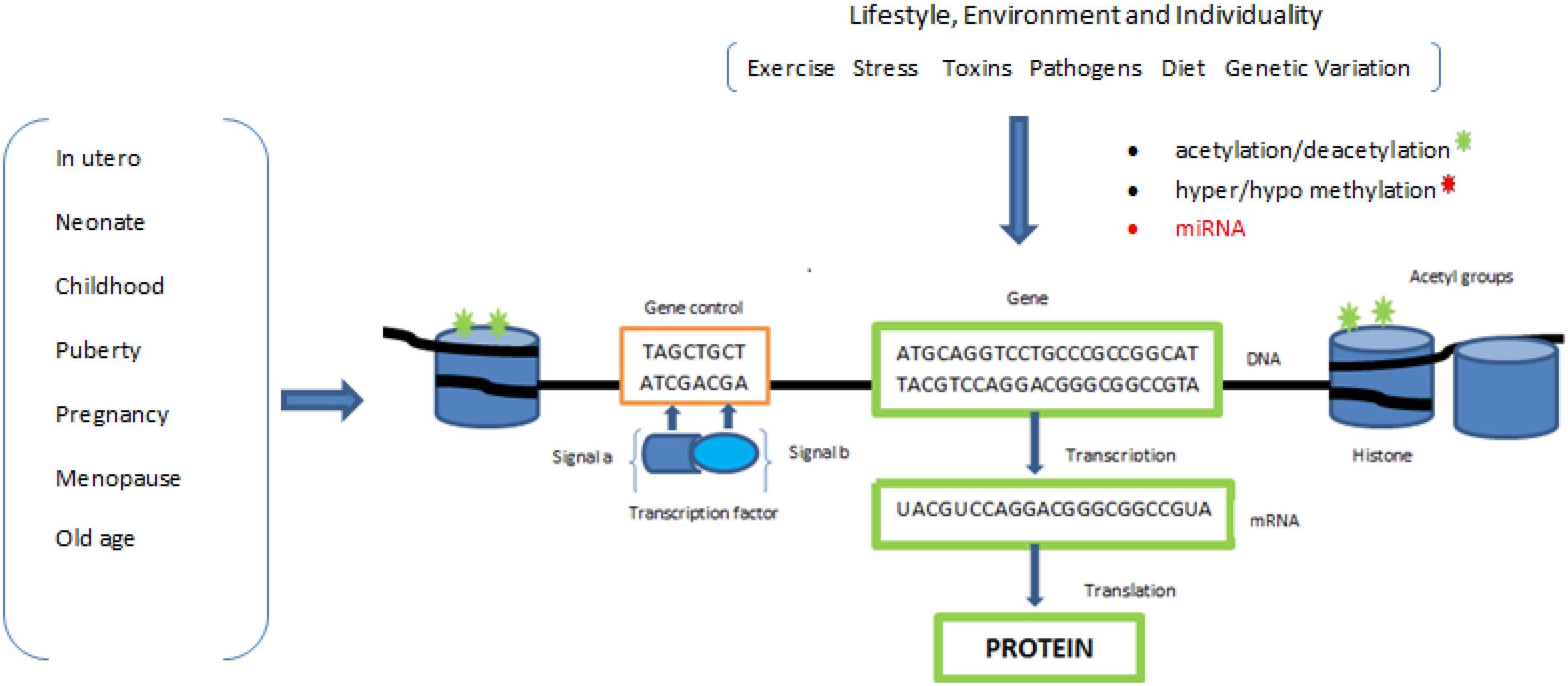 Epigenetics: Its Understanding Is Crucial to a Sustainable Healthcare ... Biology Diagrams