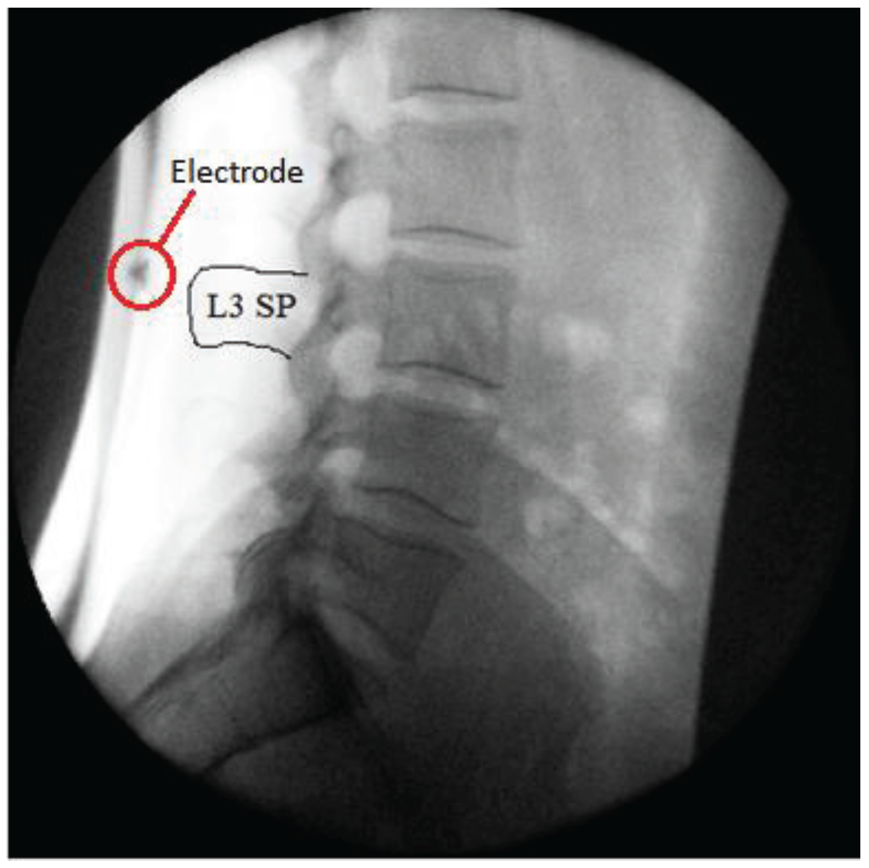 Healthcare 04 00004 g003