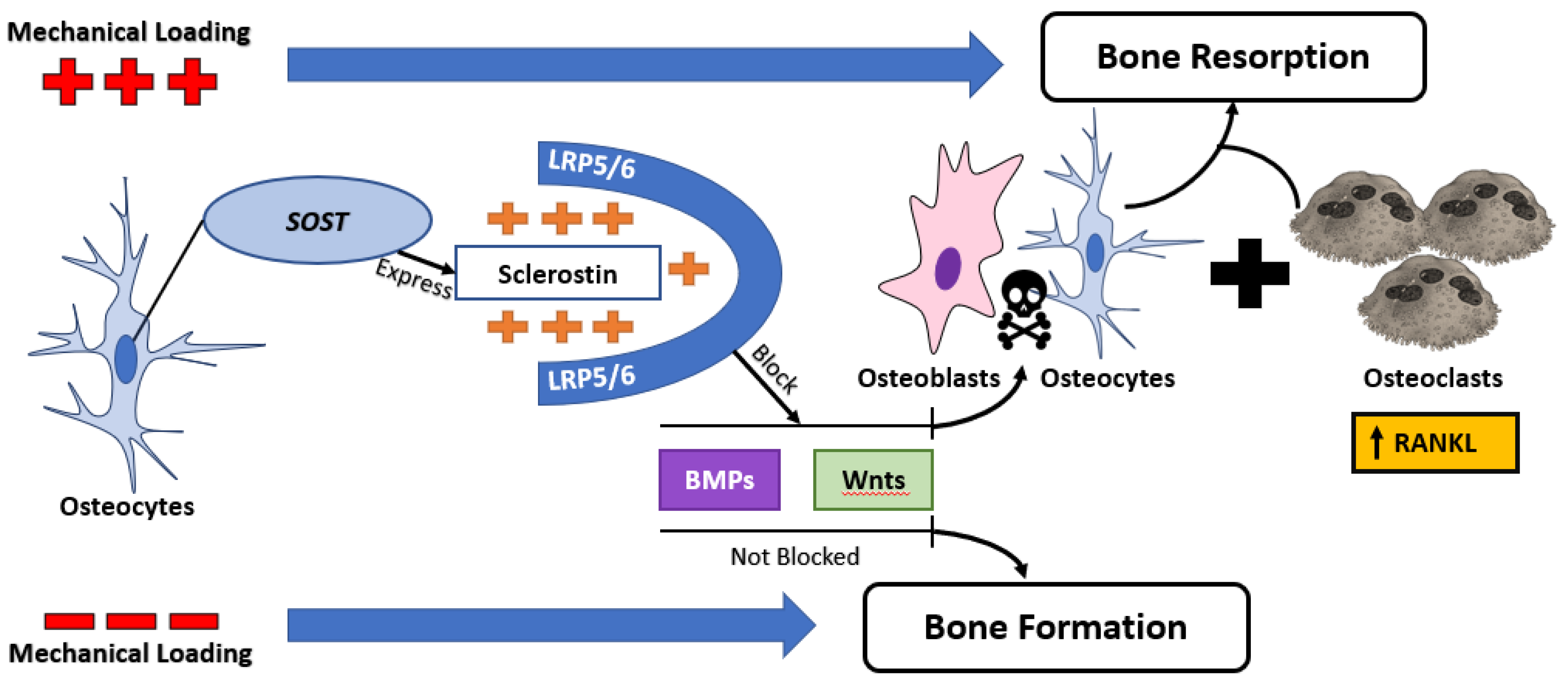 Healthcare 06 00134 g002 Healthcare 06 00134 g002