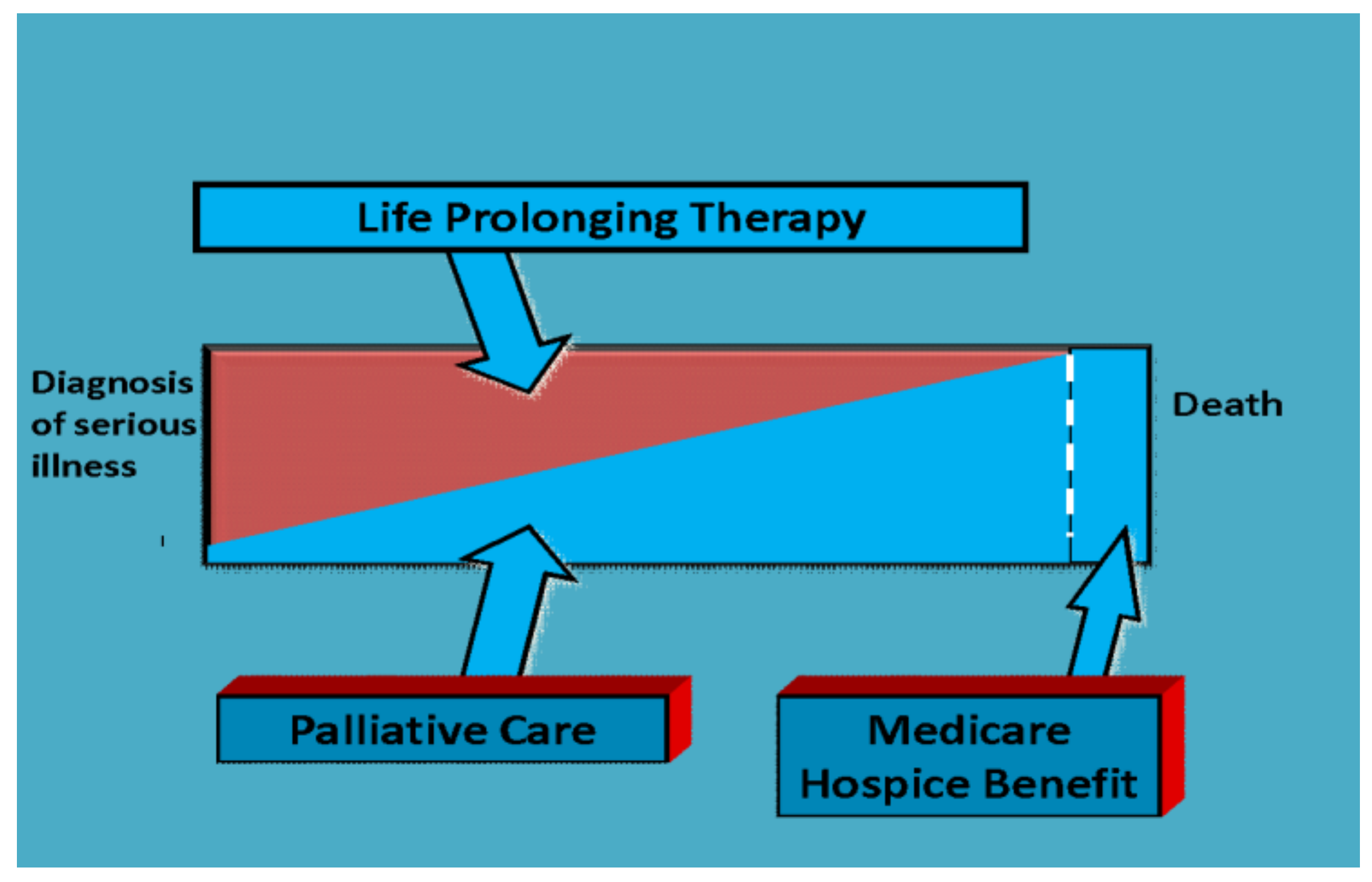 Healthcare | Free Full-Text | The Development of Pathways in Palliative Medicine: Definition ...