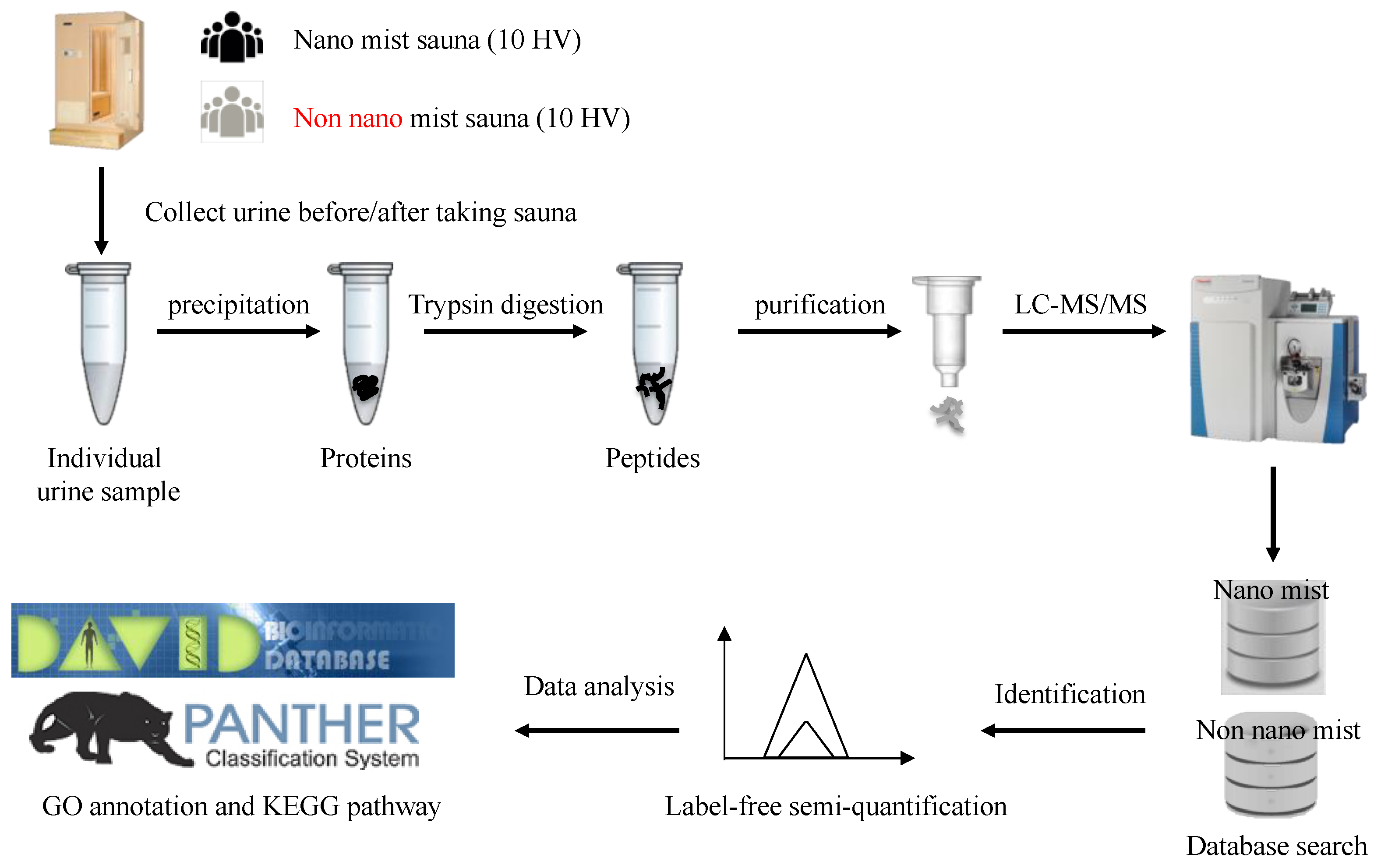 Healthcare 07 00071 g002
