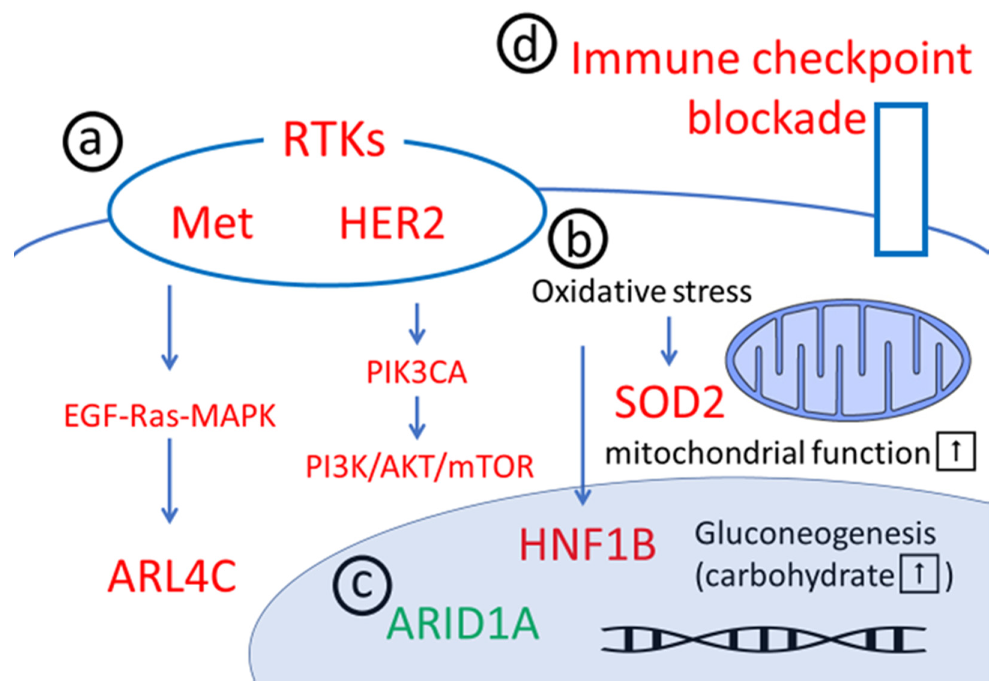 Healthcare 07 00094 g001 Healthcare 07 00094 g001