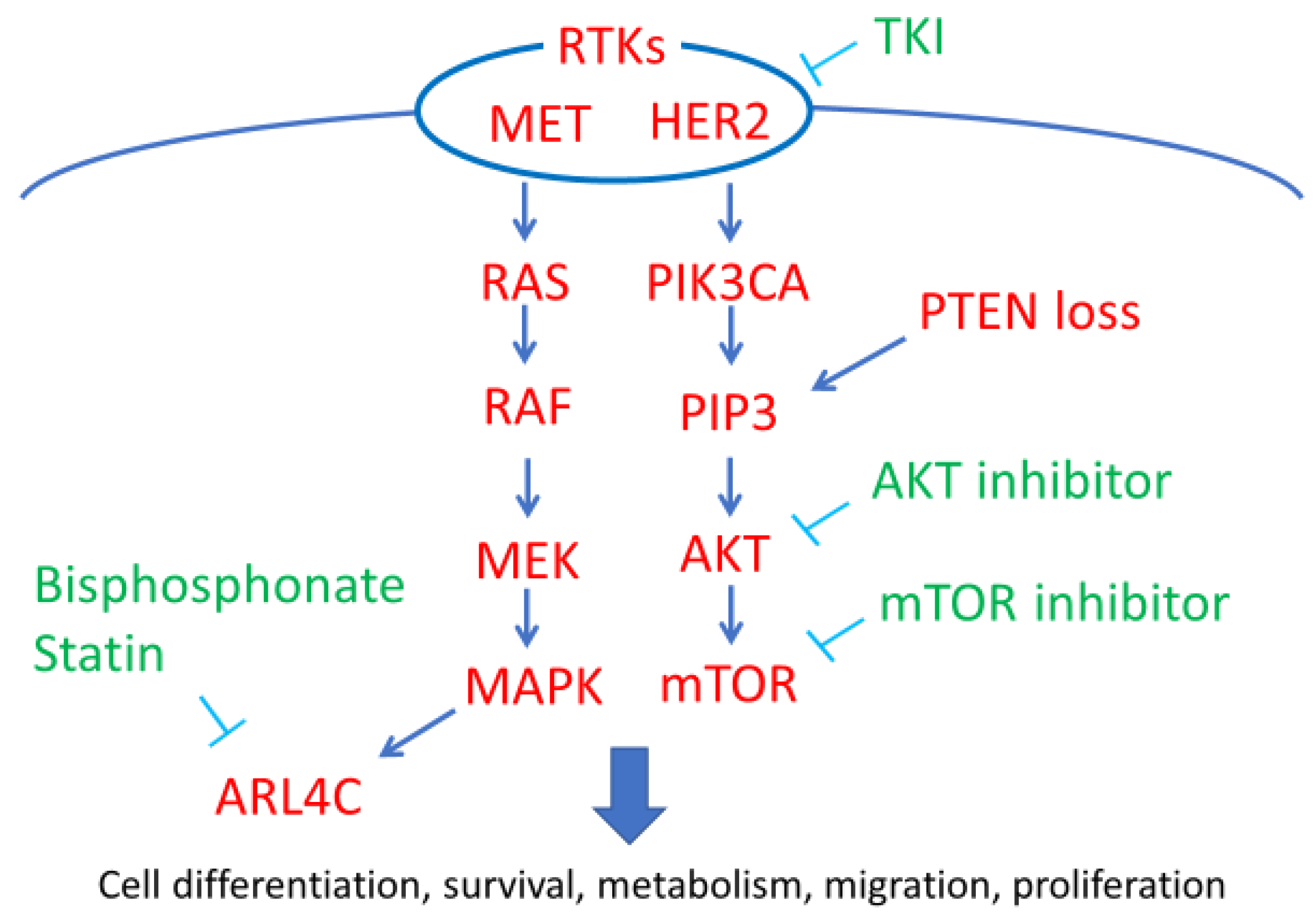 Healthcare 07 00094 g002 Healthcare 07 00094 g002