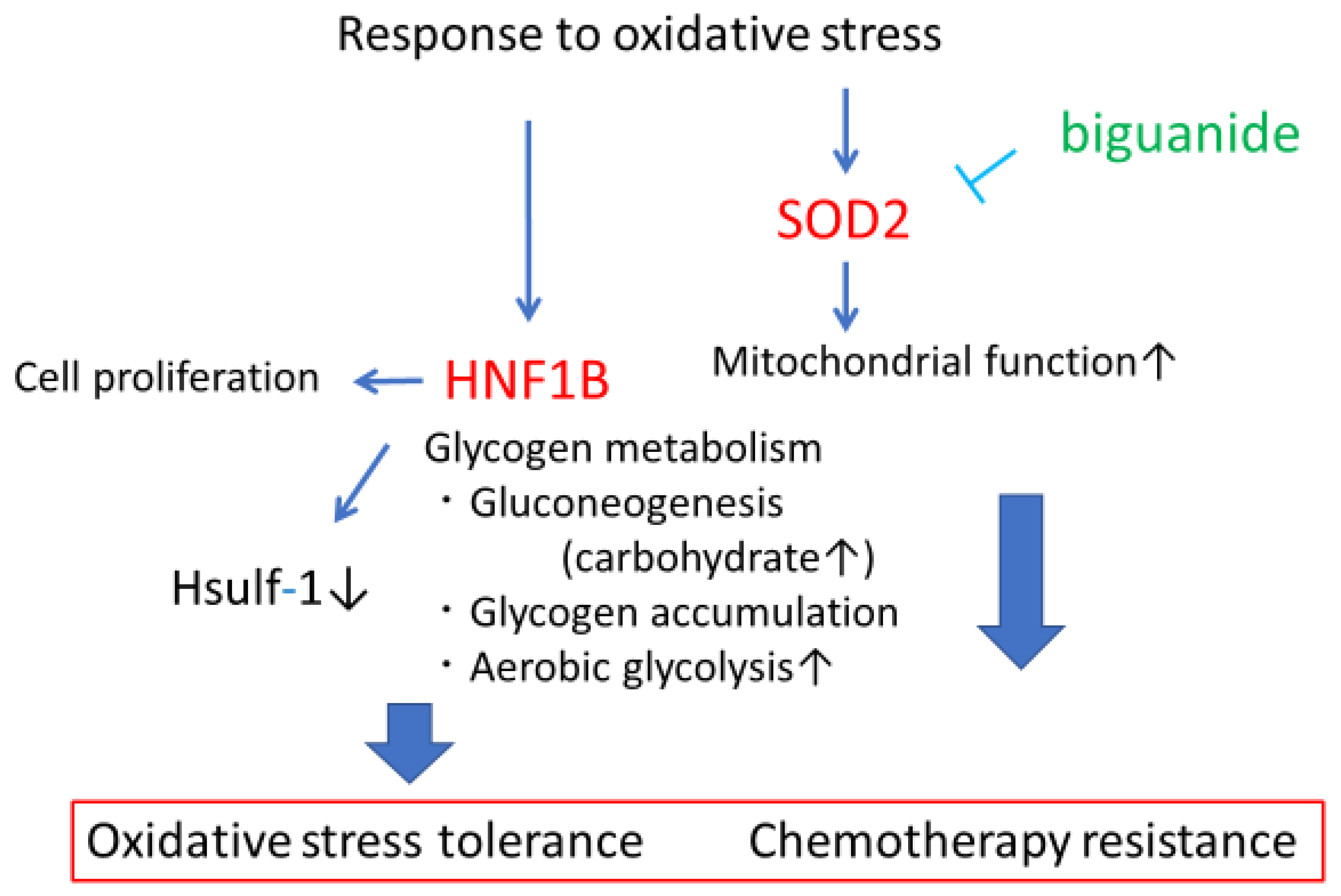 Healthcare 07 00094 g003 Healthcare 07 00094 g003