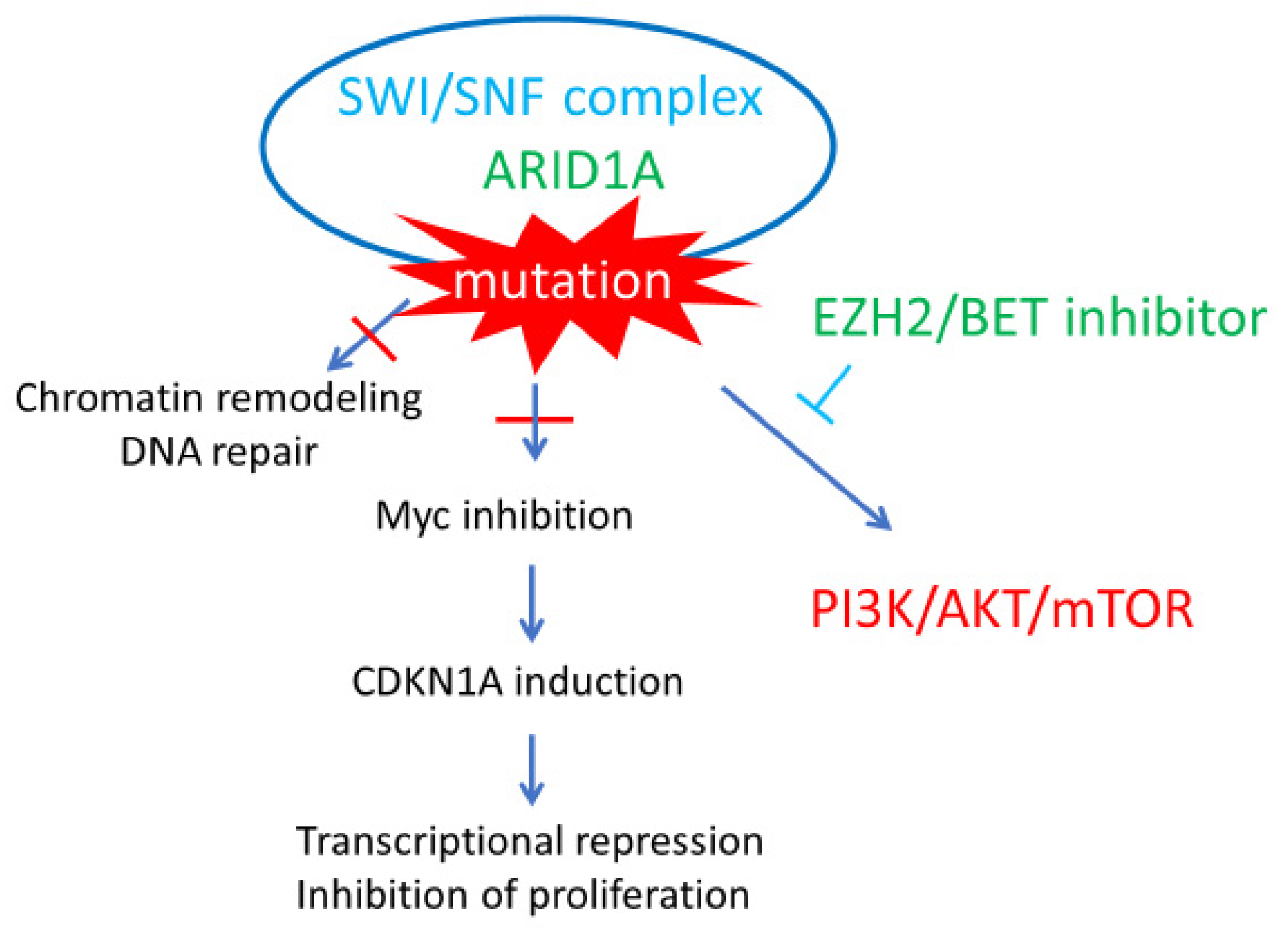 Healthcare 07 00094 g004 Healthcare 07 00094 g004