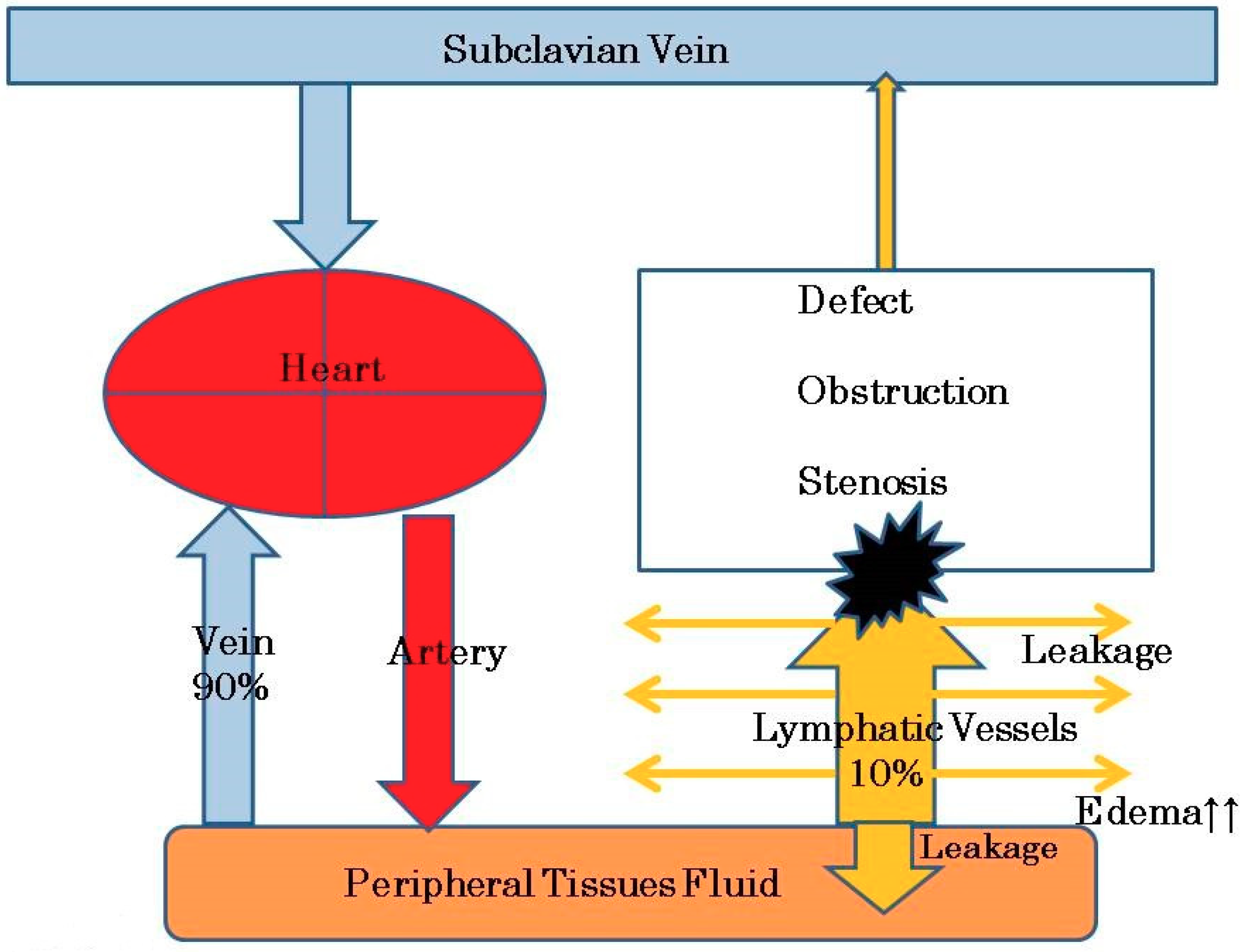 Healthcare 07 00101 g001 Healthcare 07 00101 g001