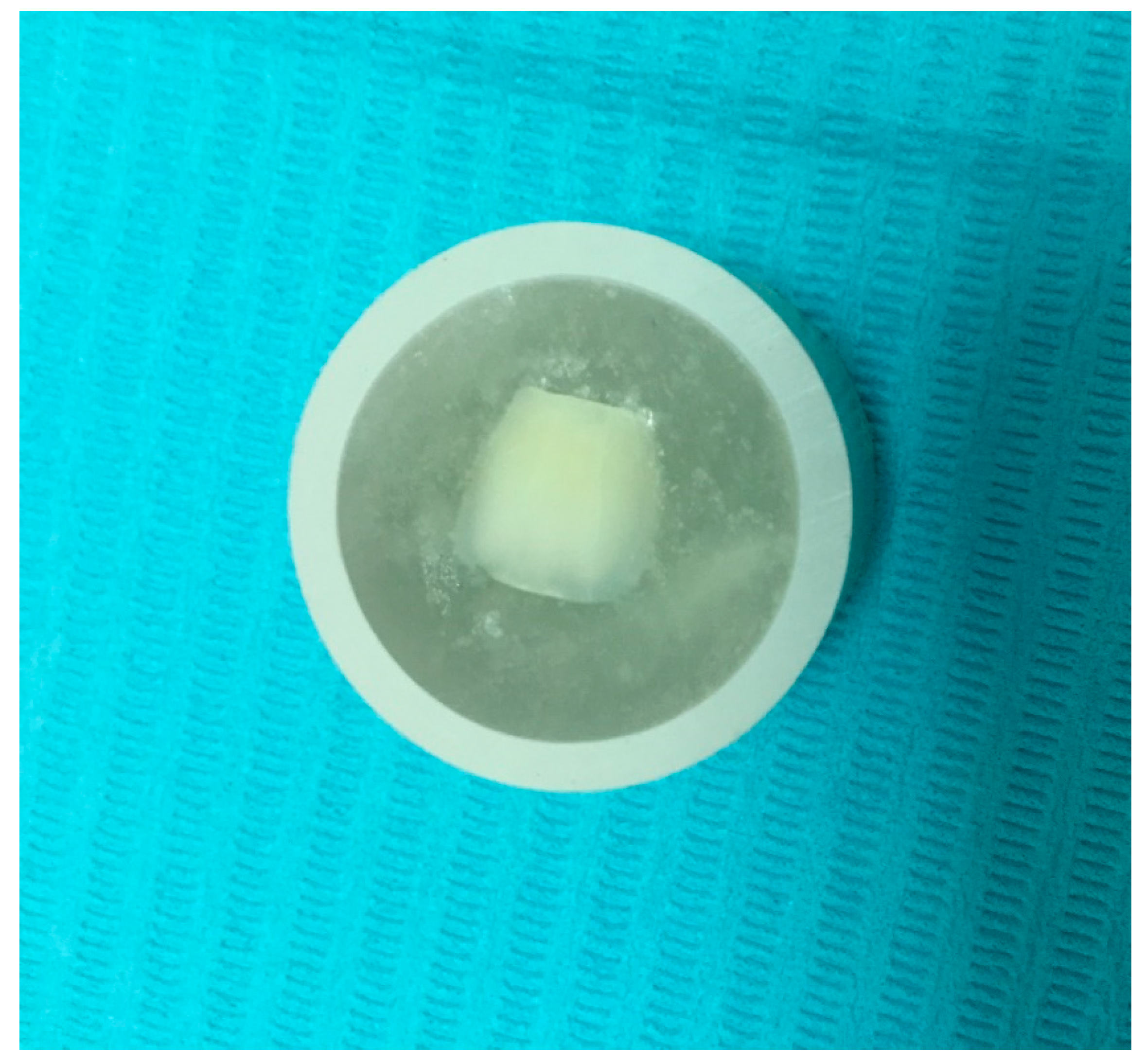 Healthcare 07 00128 g001