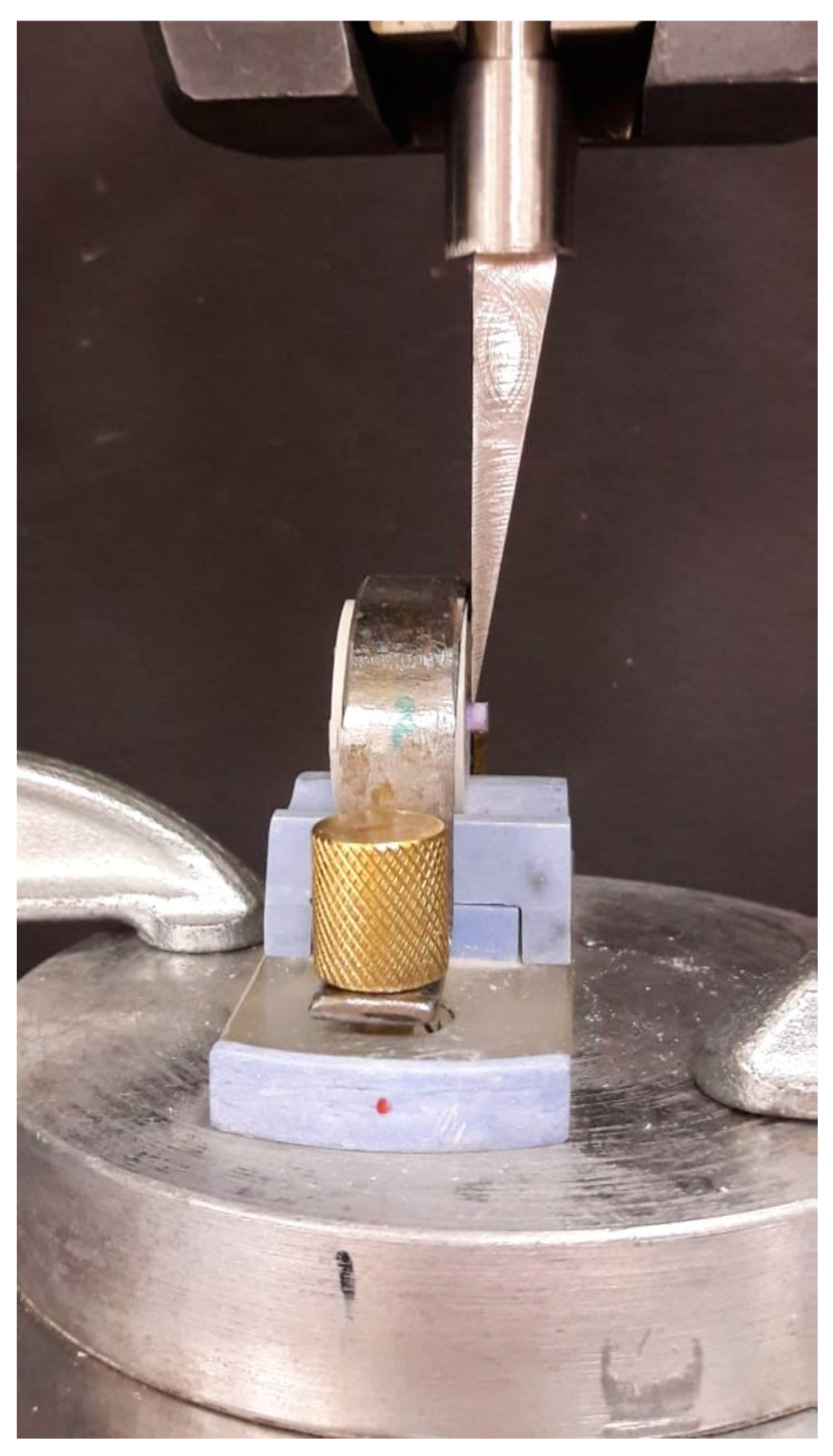 Healthcare 07 00128 g004