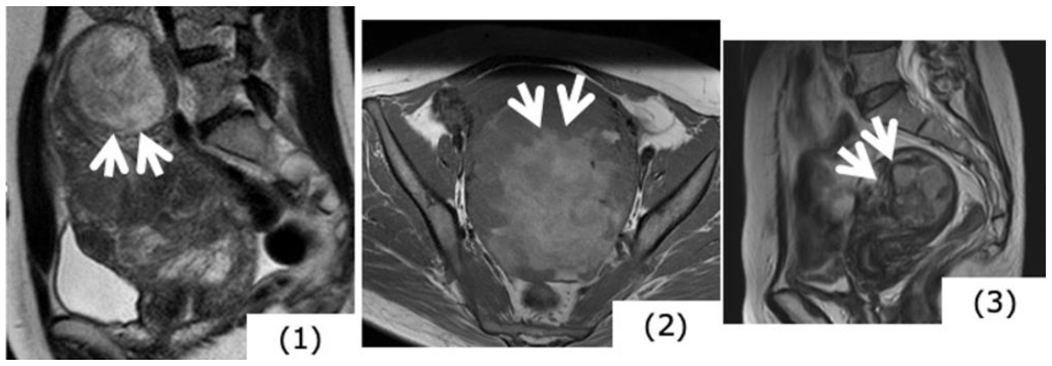 Healthcare 07 00158 g003