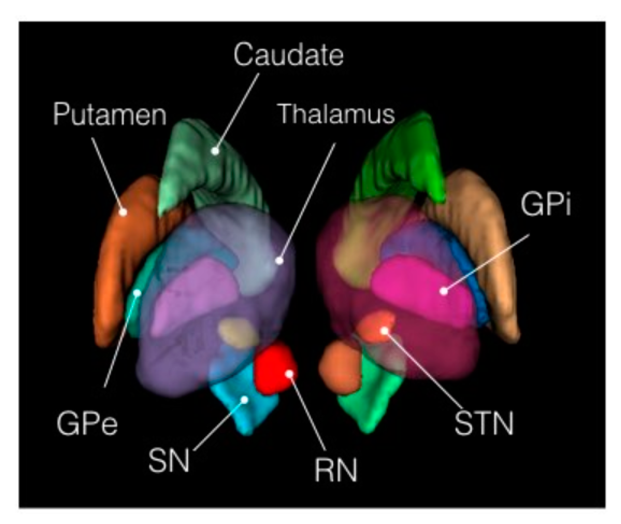 Healthcare 08 00034 g004