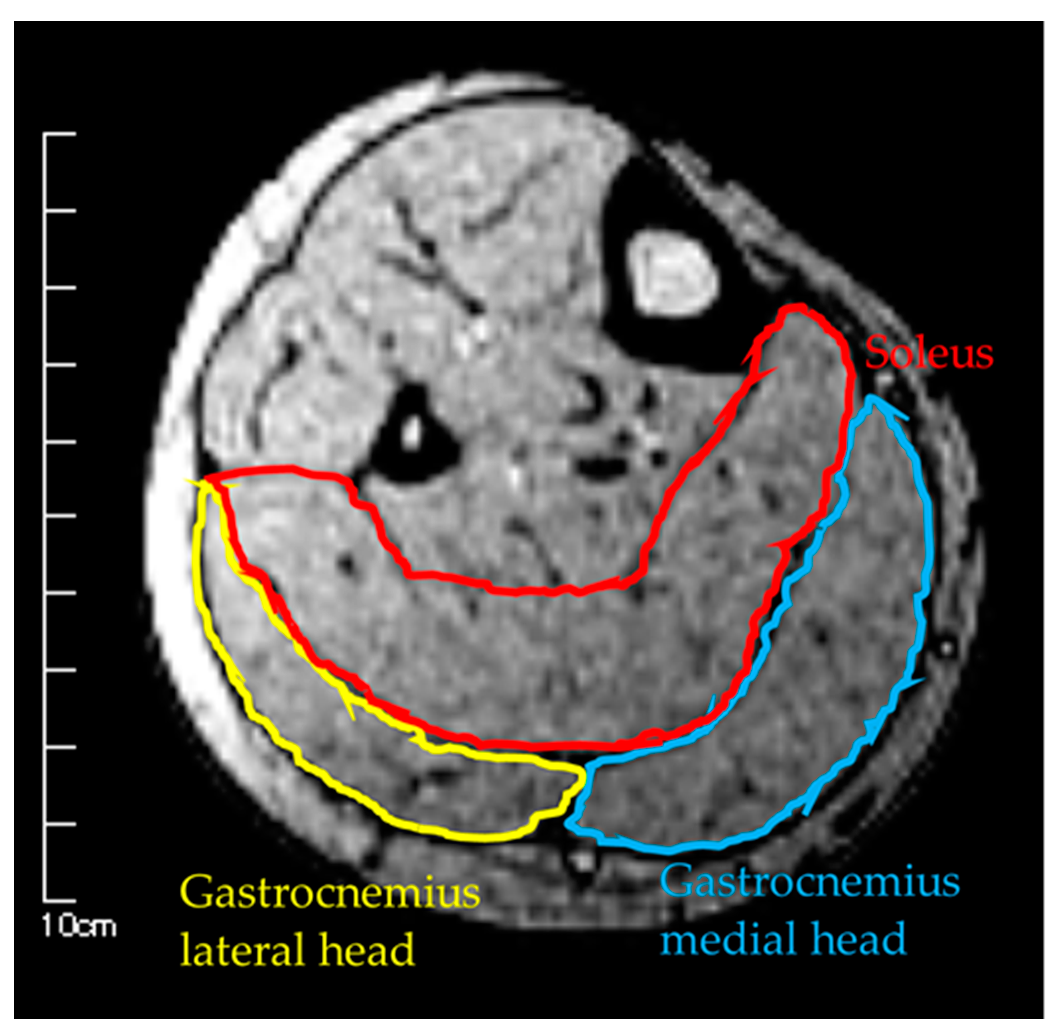 Healthcare 08 00166 g002 Healthcare 08 00166 g002