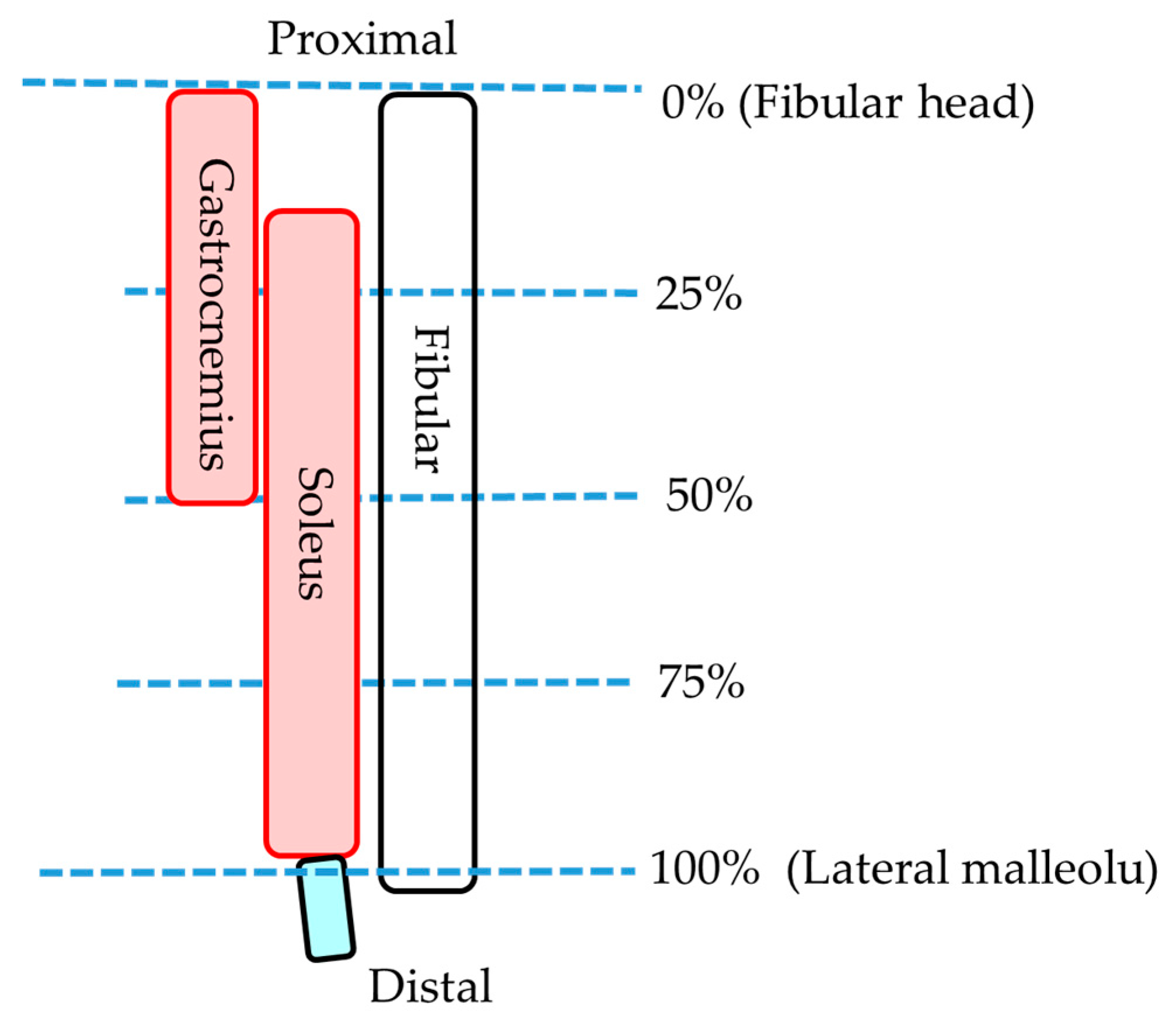 Healthcare 08 00166 g004 Healthcare 08 00166 g004