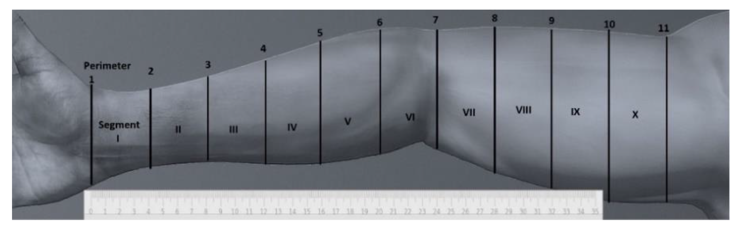 Healthcare 08 00285 g001