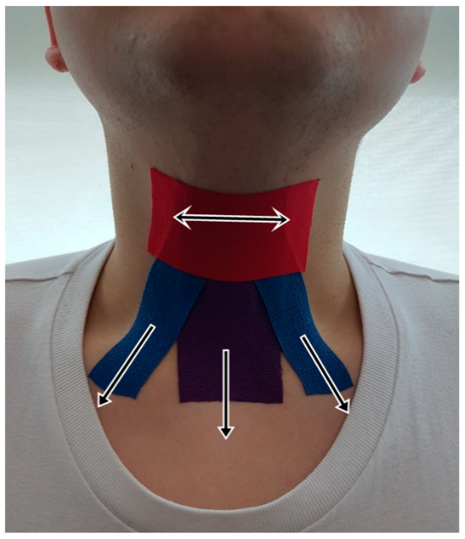 Healthcare 08 00411 g001