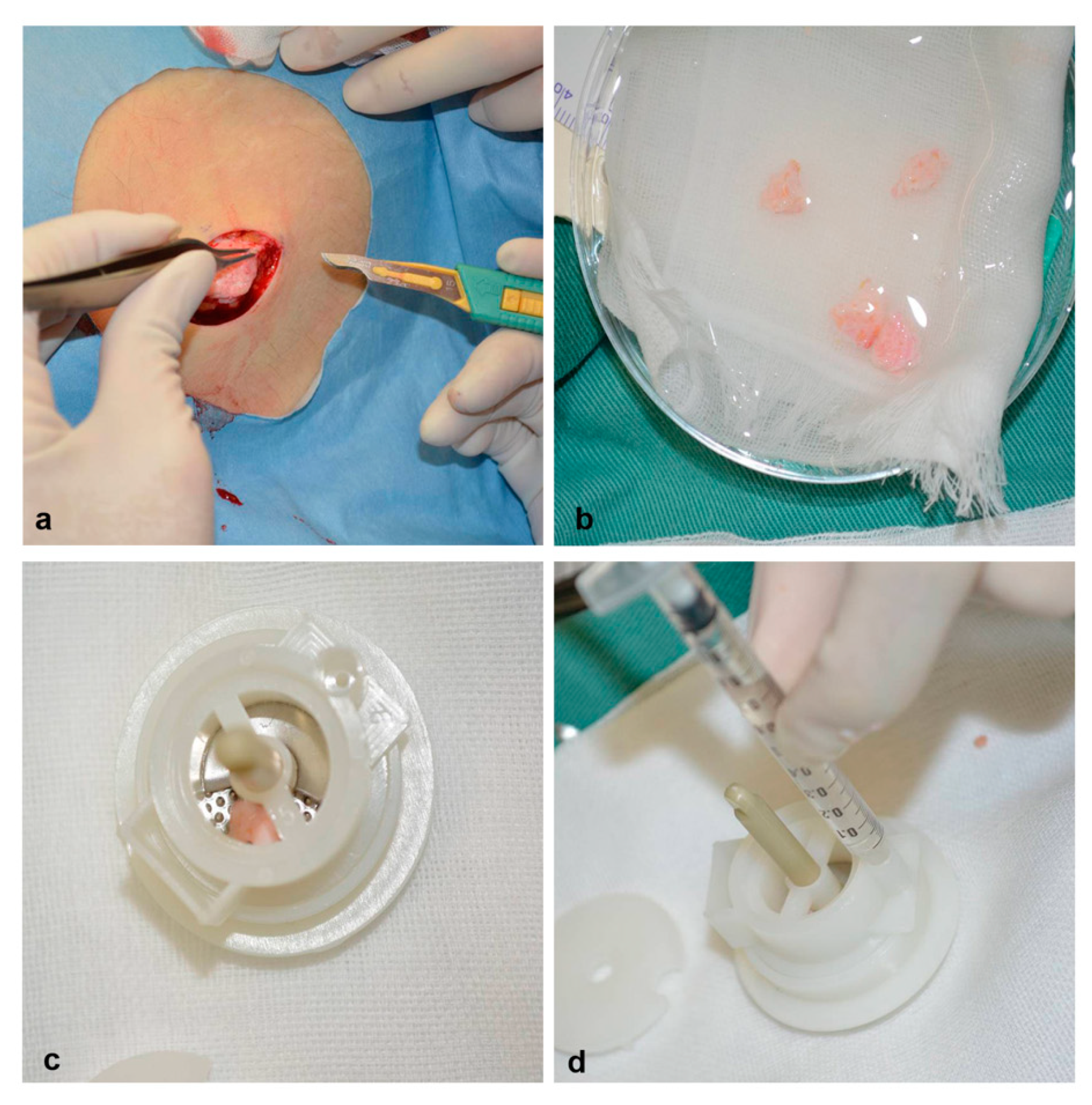 Healthcare 08 00513 g001 Healthcare 08 00513 g001