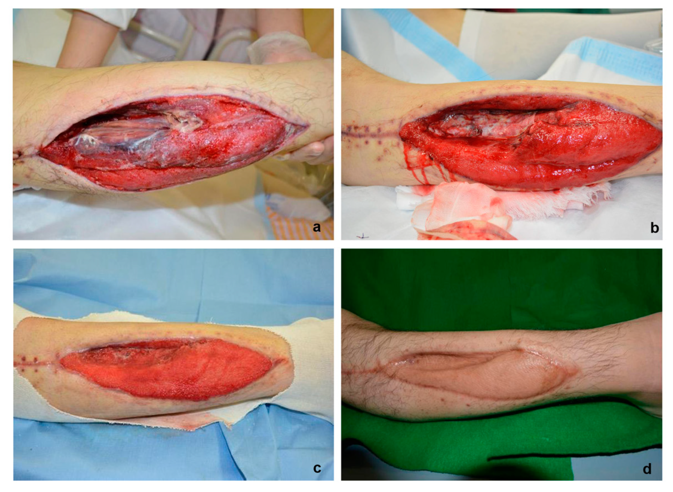 Healthcare 08 00513 g002 Healthcare 08 00513 g002