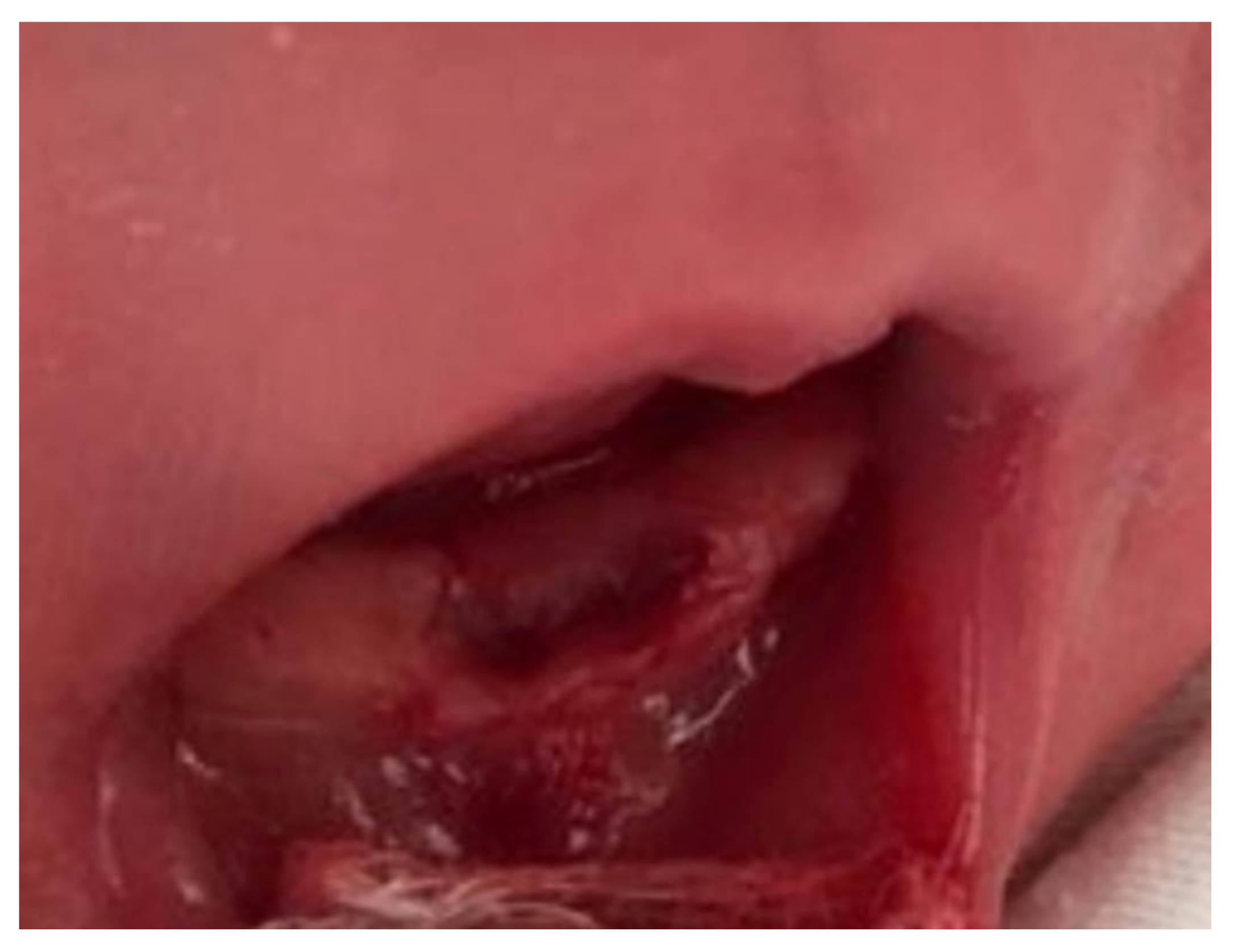 Healthcare 08 00539 g003