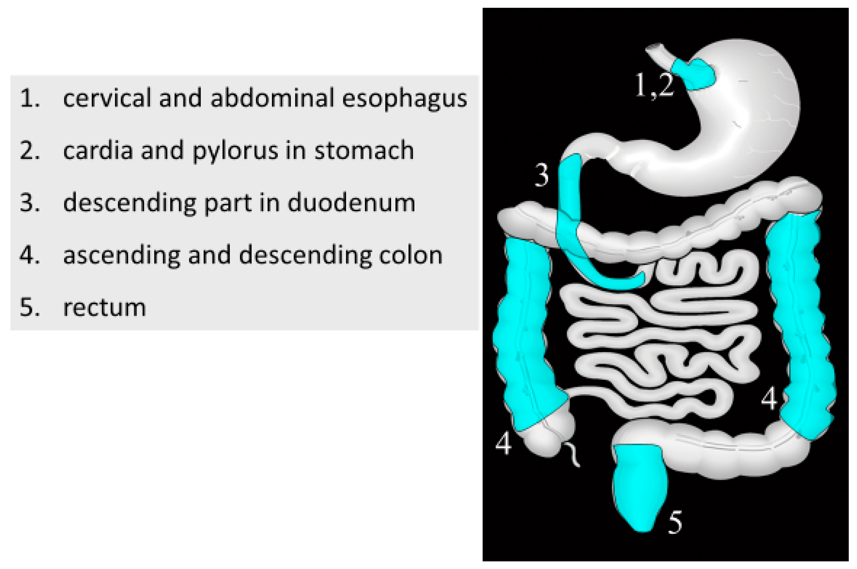 Healthcare 08 00541 g001 Healthcare 08 00541 g001