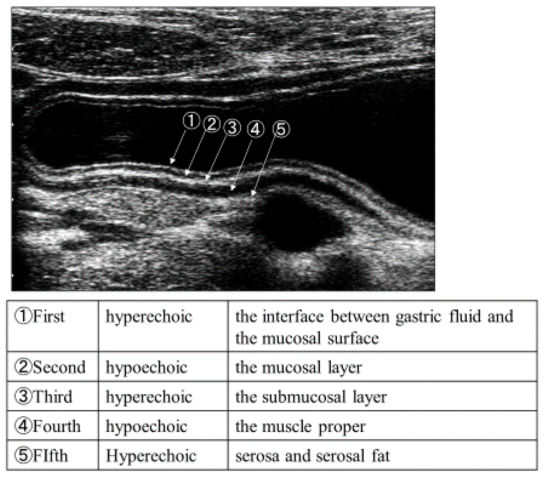 Healthcare 08 00541 g002 Healthcare 08 00541 g002