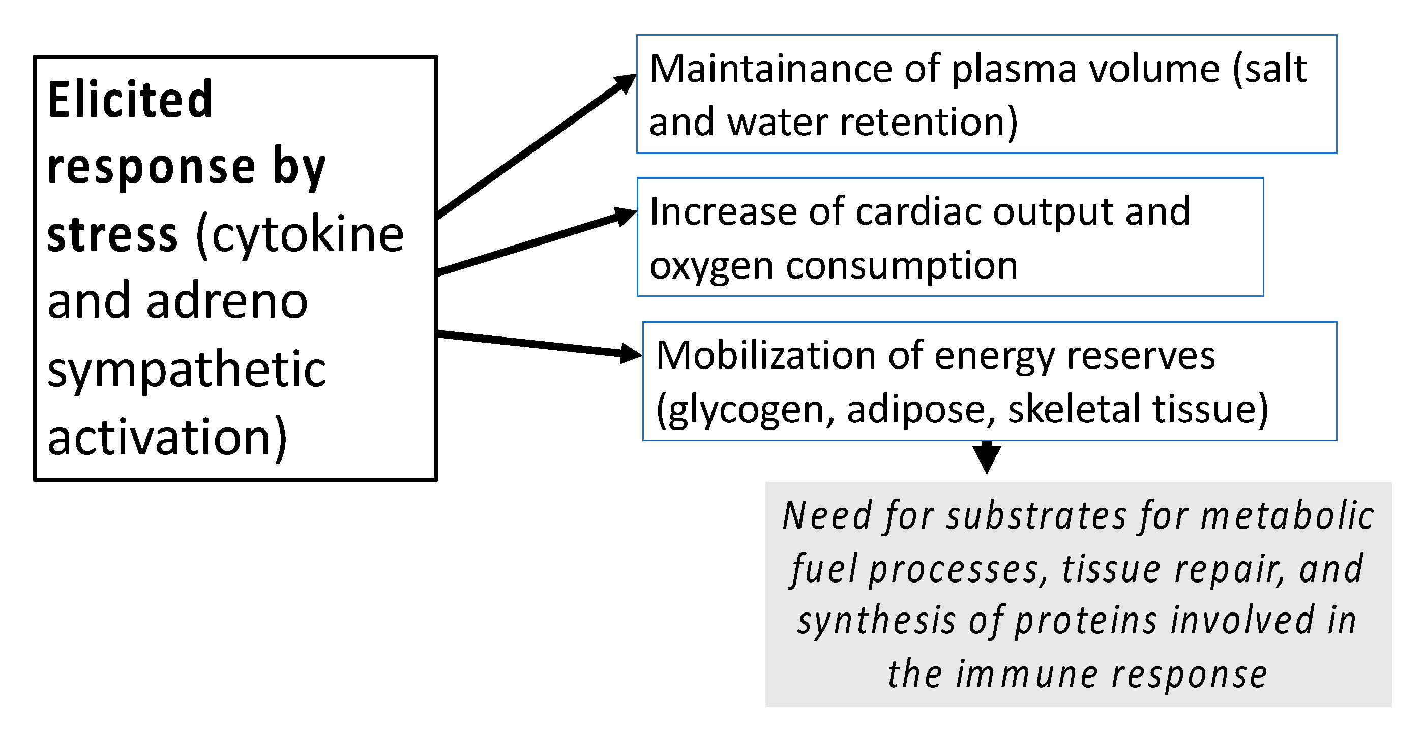 Healthcare 08 00559 g002 Healthcare 08 00559 g002