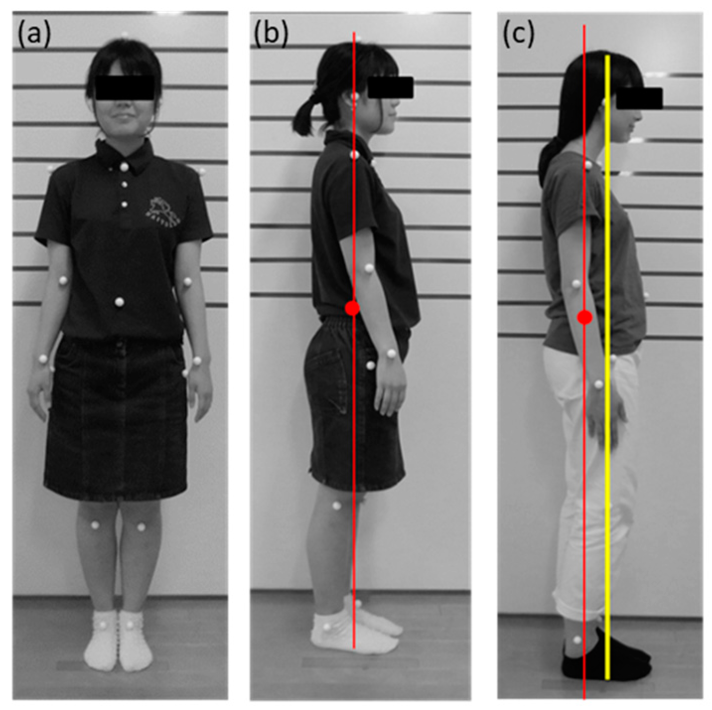 Healthcare 08 00565 g001