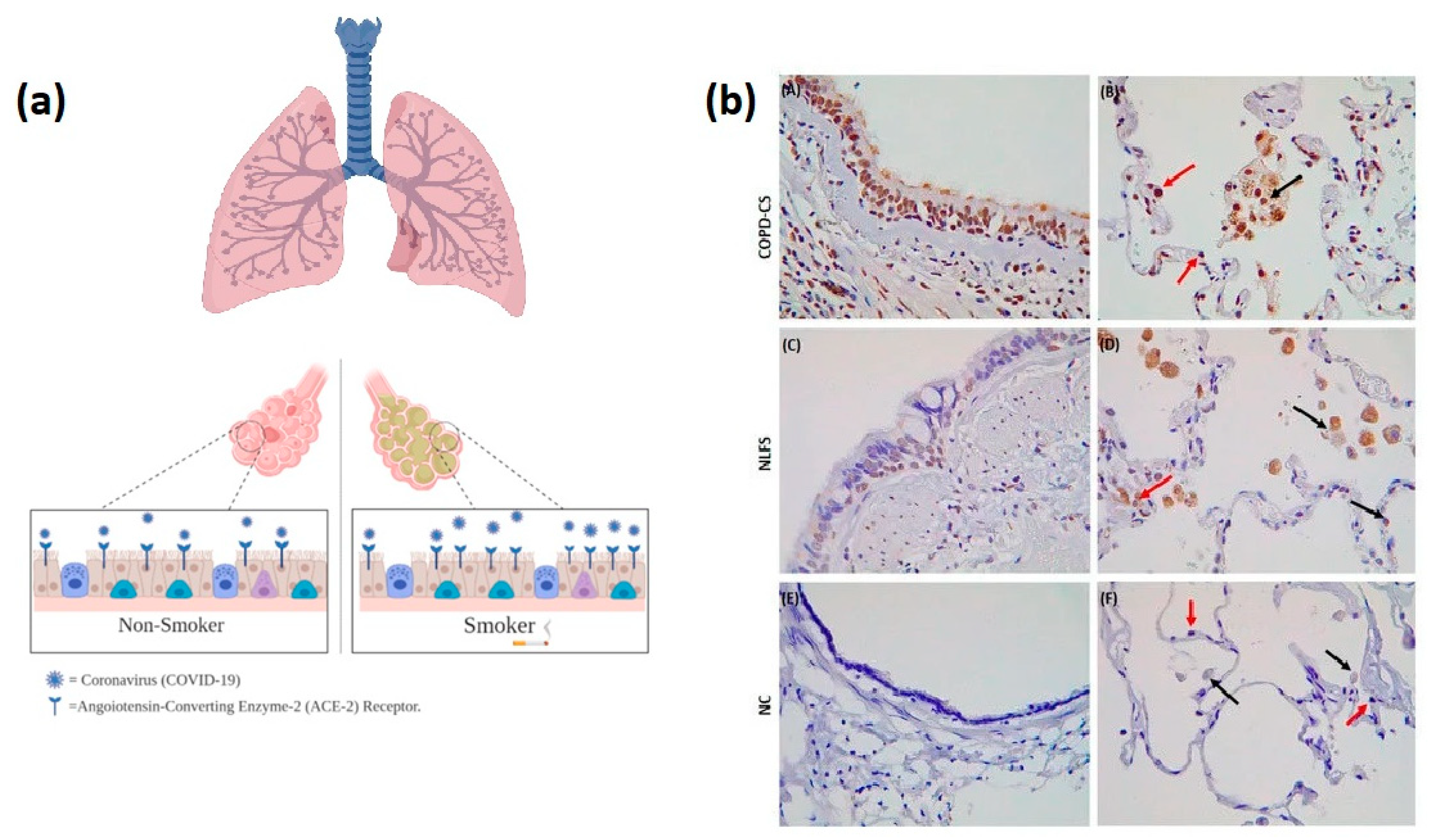 Healthcare 09 00002 g001