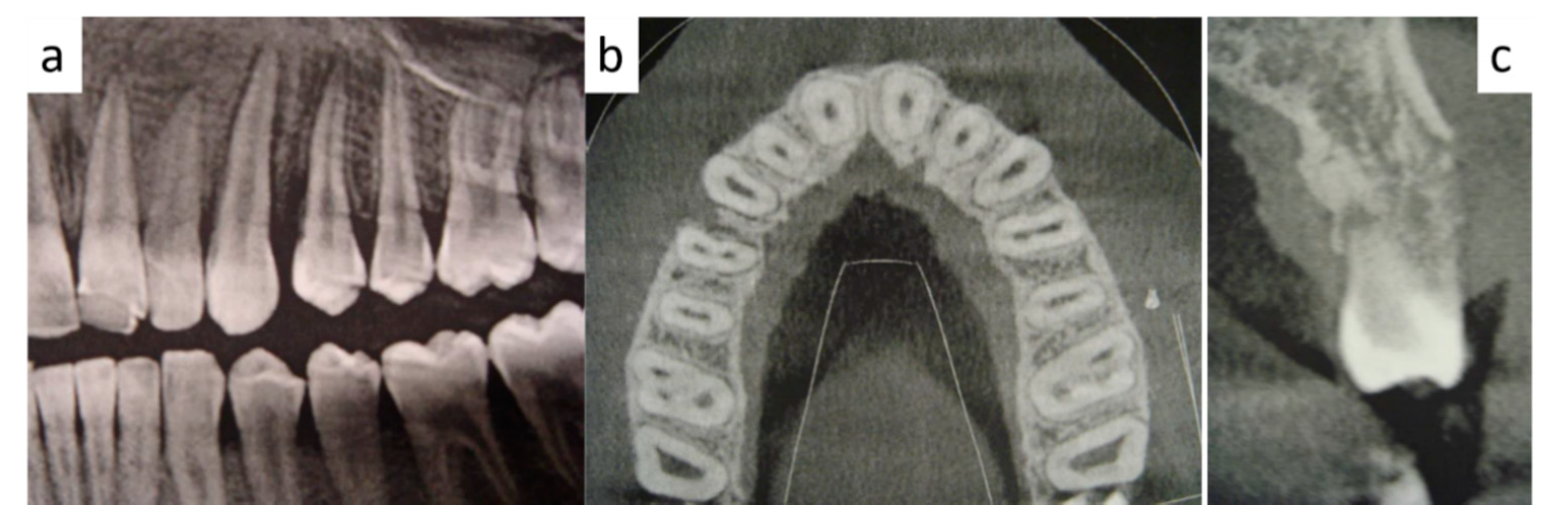 Healthcare 09 00033 g002