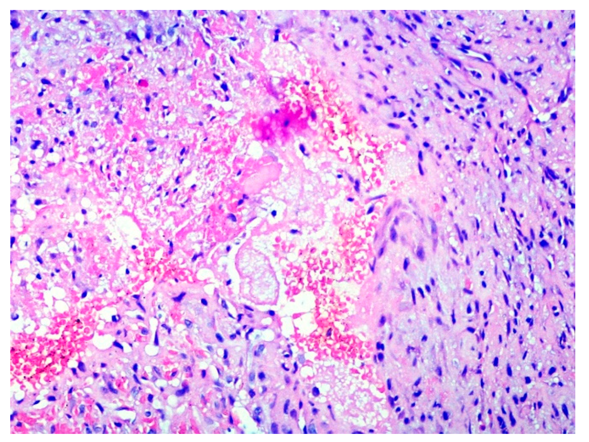 Healthcare 09 00033 g003