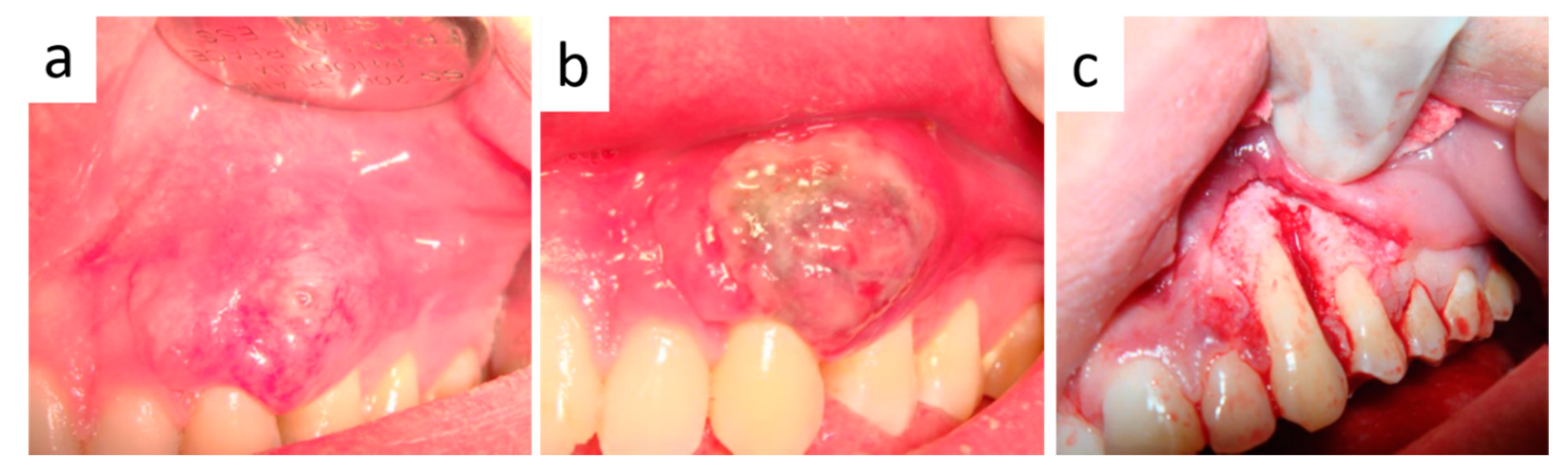 Healthcare 09 00033 g004