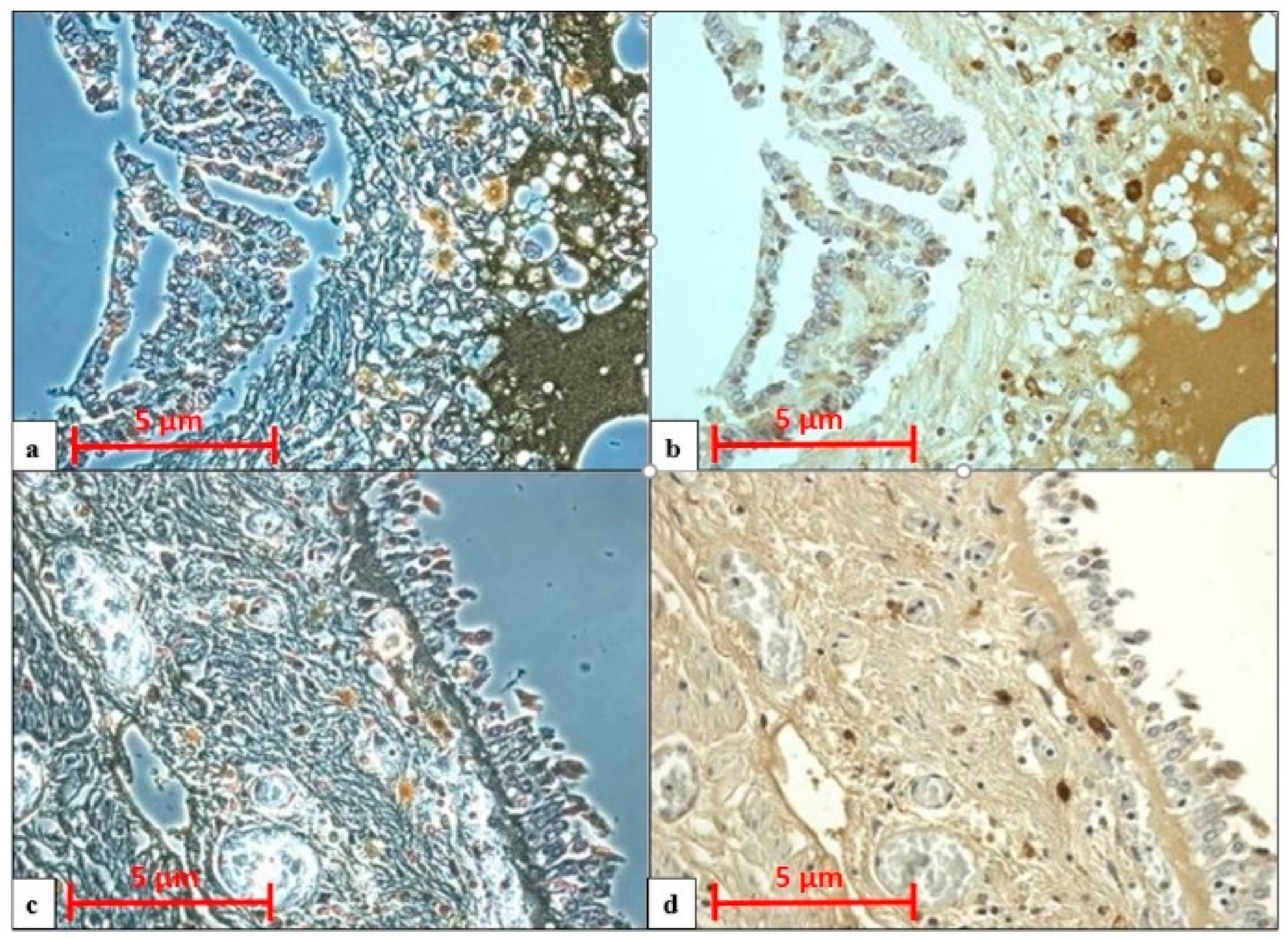 Healthcare 09 00117 g004 Healthcare 09 00117 g004