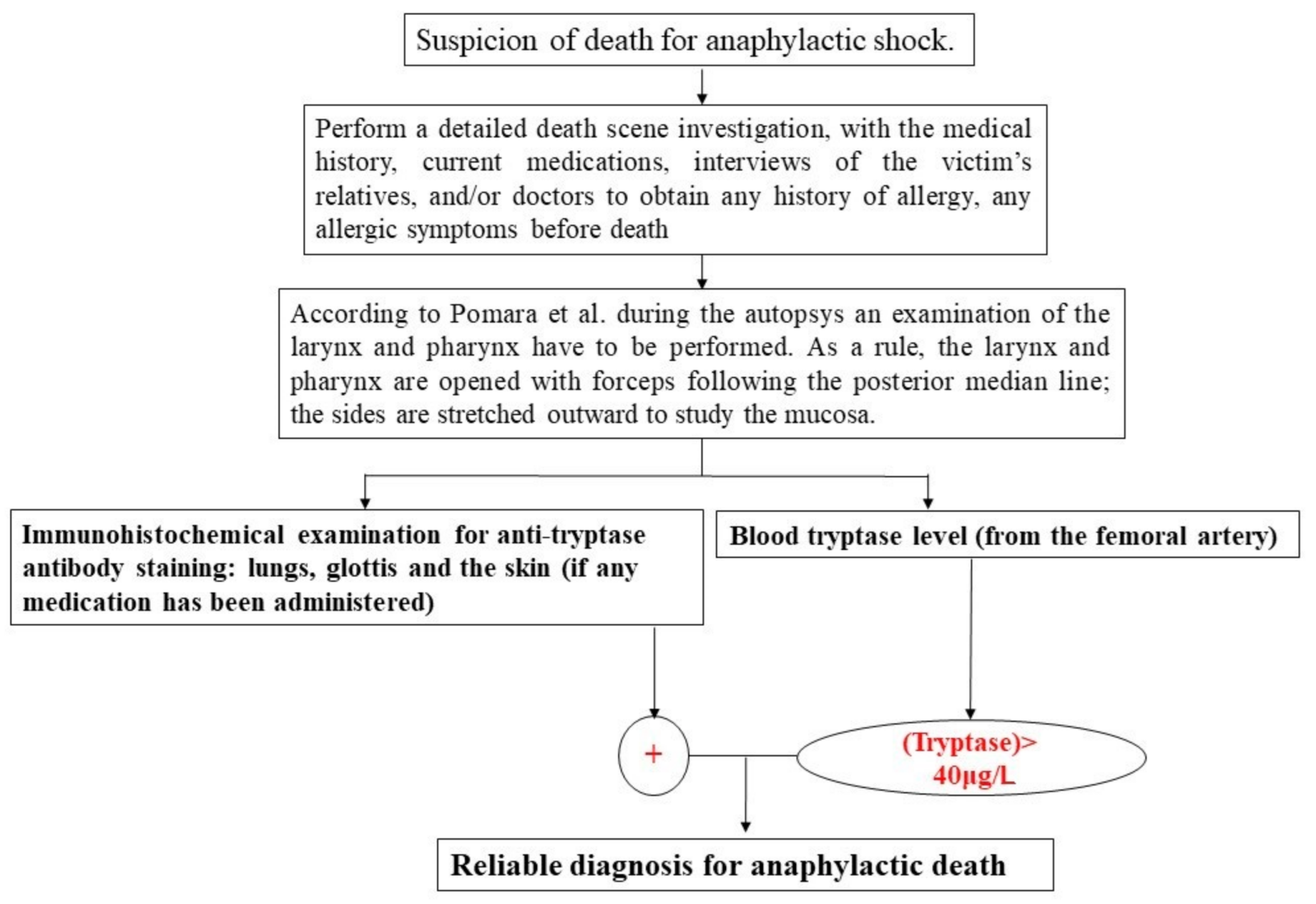 Healthcare | Free Full-Text | Anaphylactic Death: A New Forensic Workflow  for Diagnosis