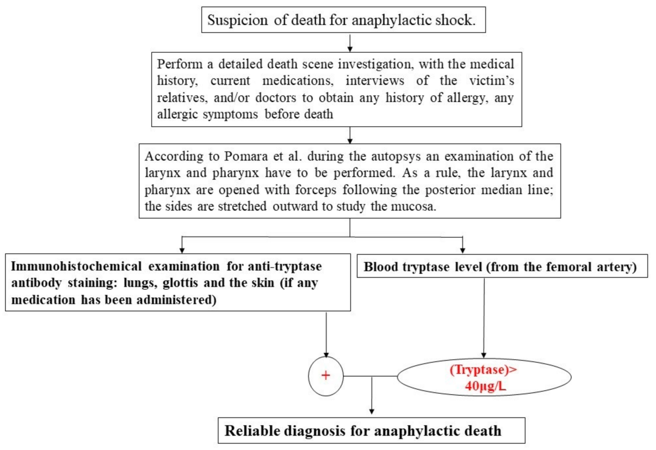 Healthcare | Free Full-Text | Anaphylactic Death: A New Forensic Workflow for Diagnosis Healthcare | Free Full-Text | Anaphylactic Death: A New Forensic Workflow for Diagnosis
