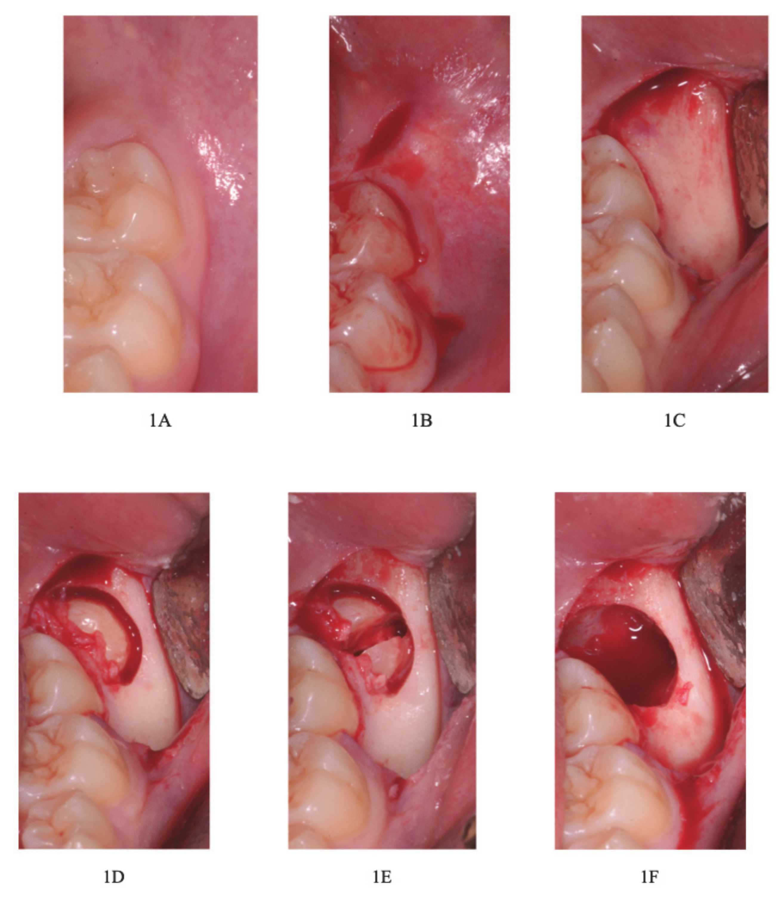 Healthcare 09 00121 g001a Healthcare 09 00121 g001a