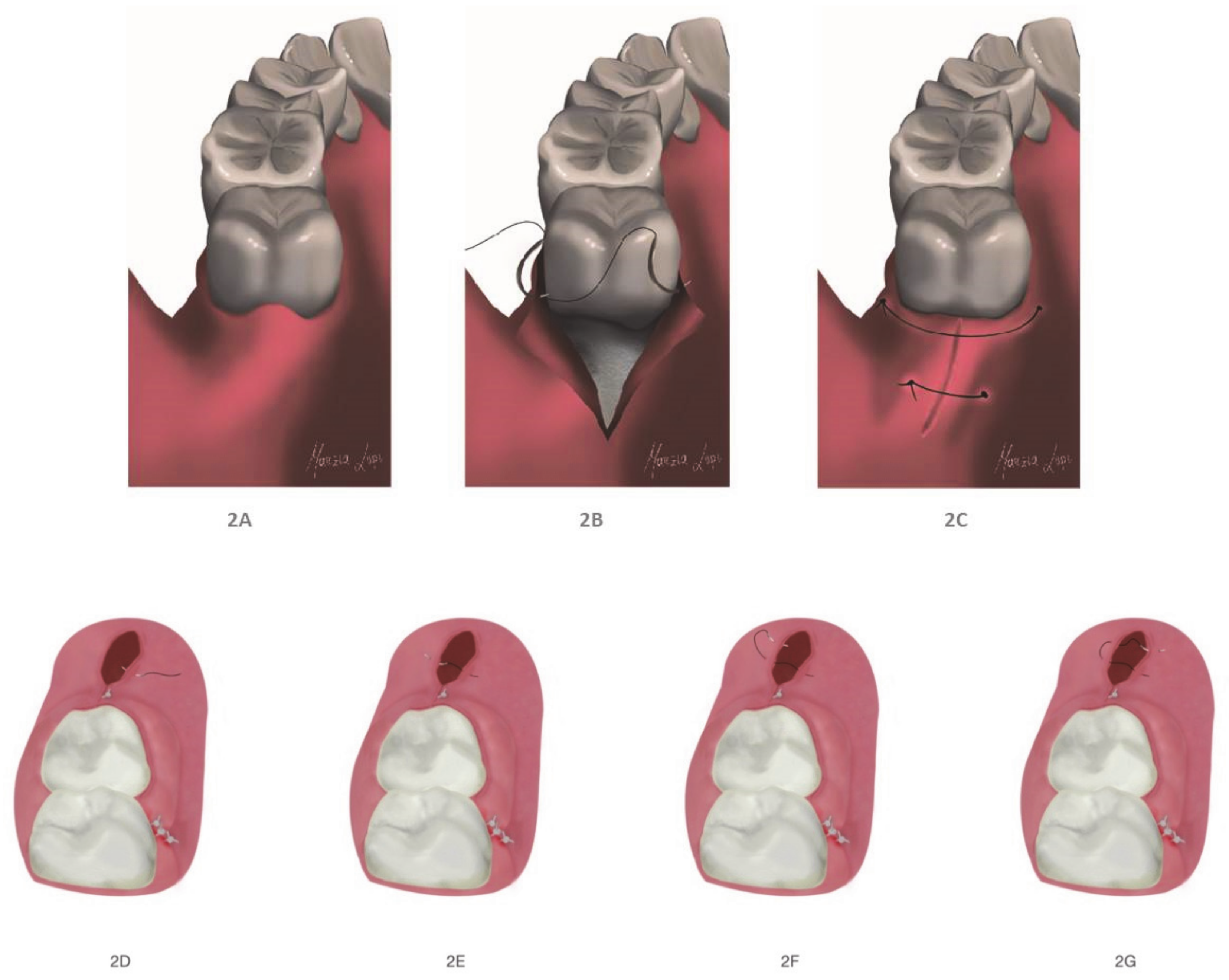 Healthcare 09 00121 g002 Healthcare 09 00121 g002