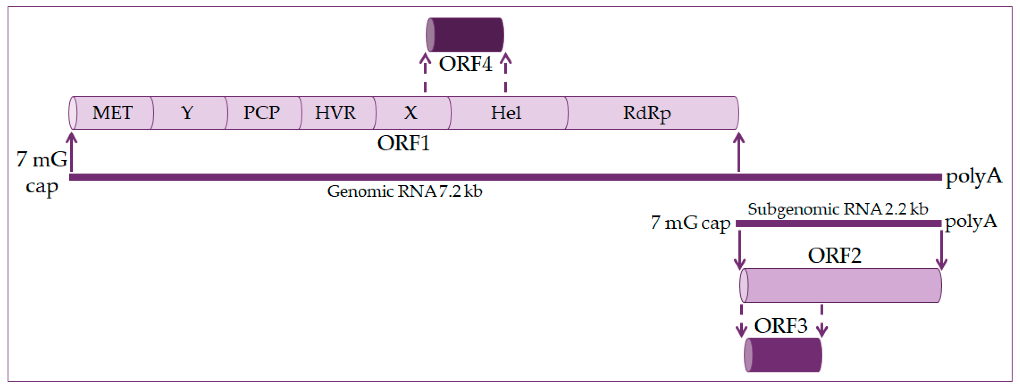 Healthcare 09 00133 g001
