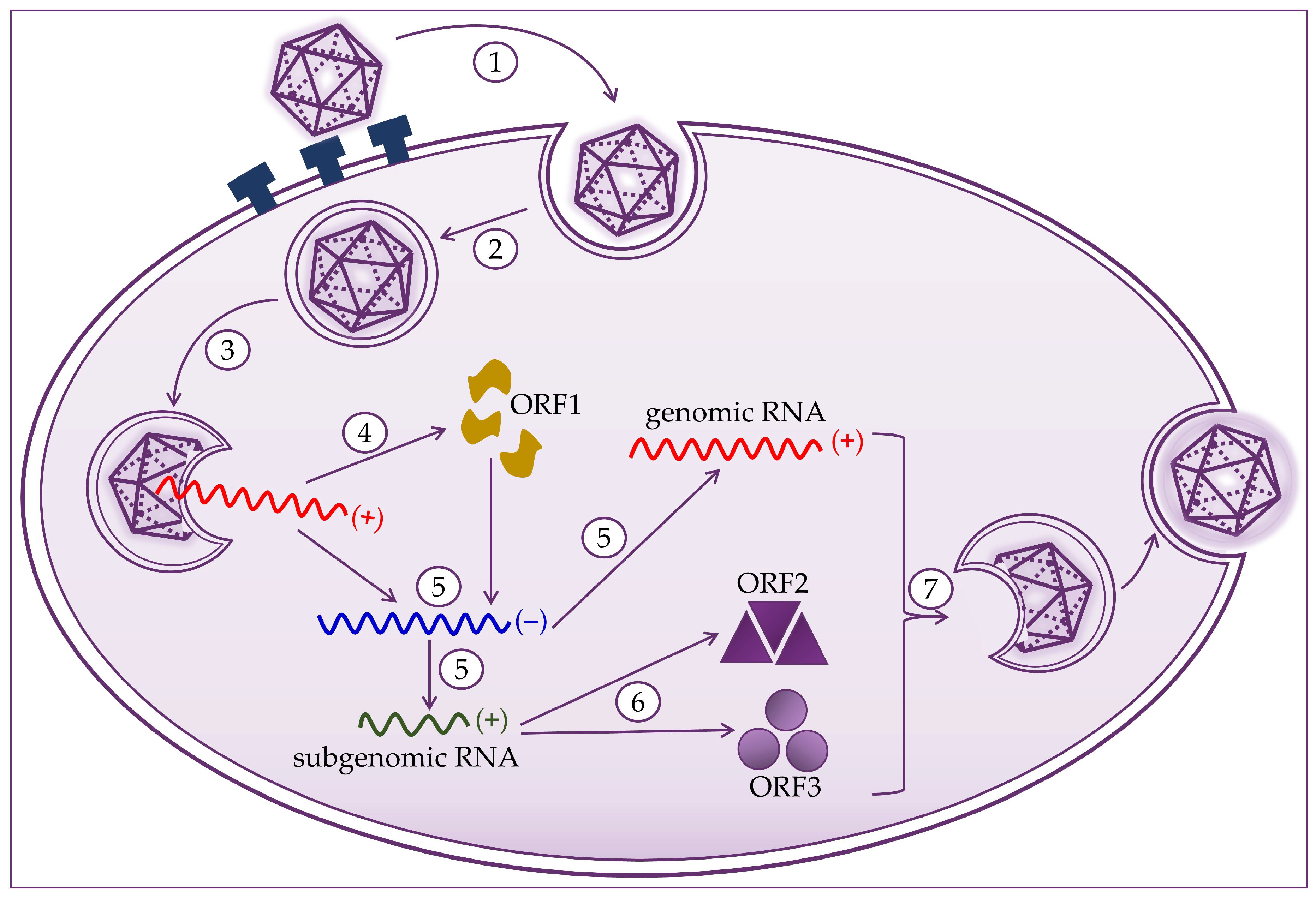 Healthcare 09 00133 g002