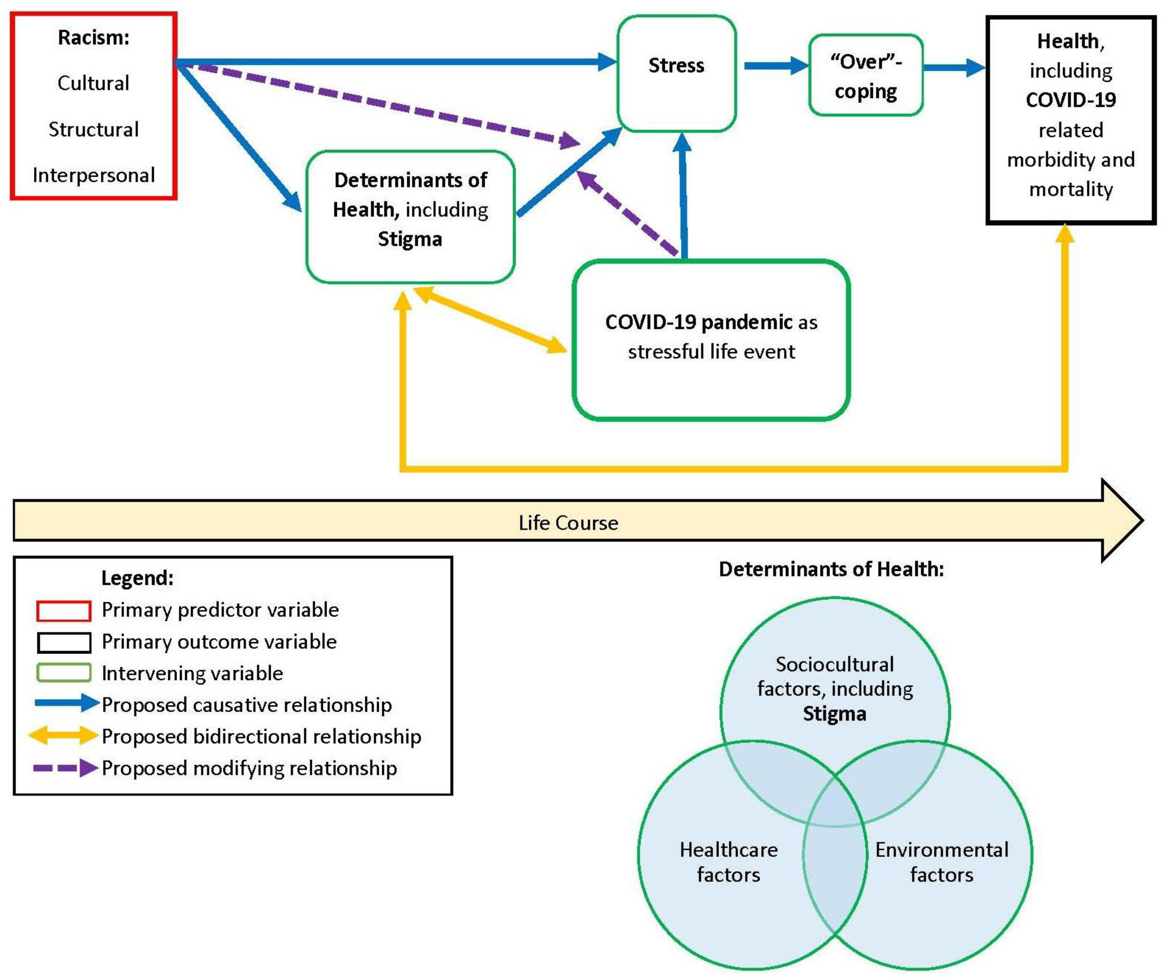 Healthcare | Free Full-Text | Application of the Weathering Framework:  Intersection of Racism, Stigma, and COVID-19 as a Stressful Life Event  among African Americans | HTML