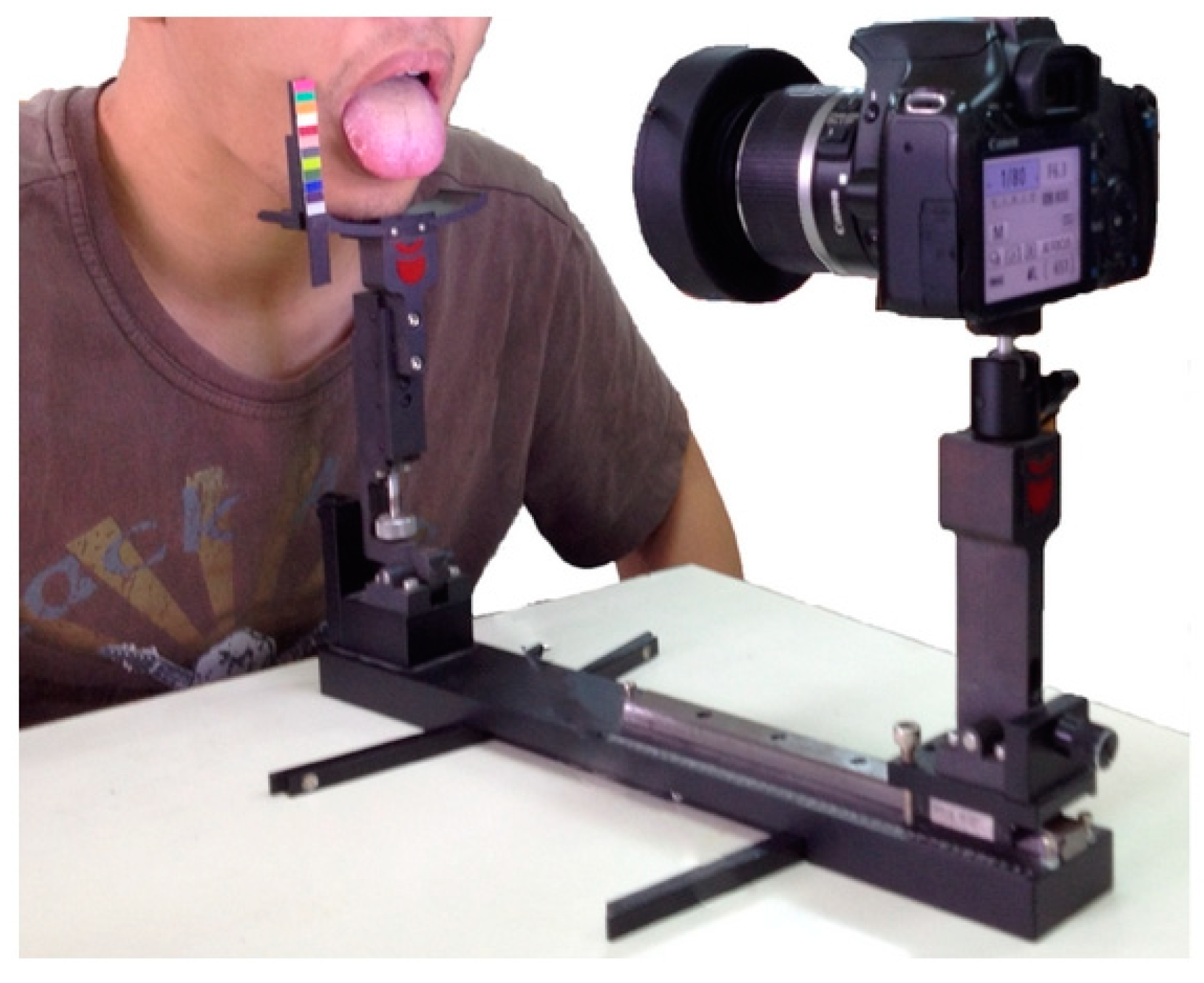 Healthcare 09 00177 g002 Healthcare 09 00177 g002