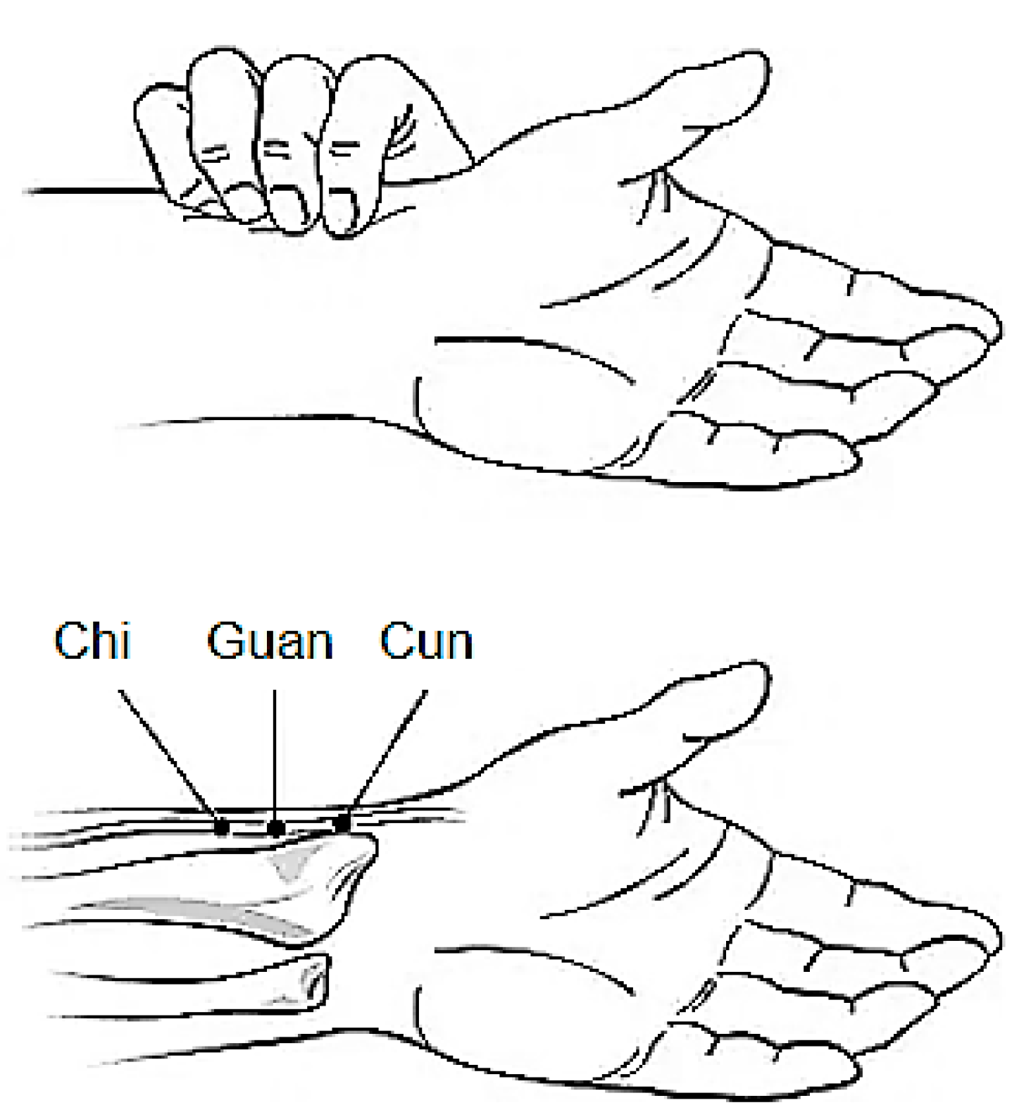 Healthcare 09 00177 g003 Healthcare 09 00177 g003