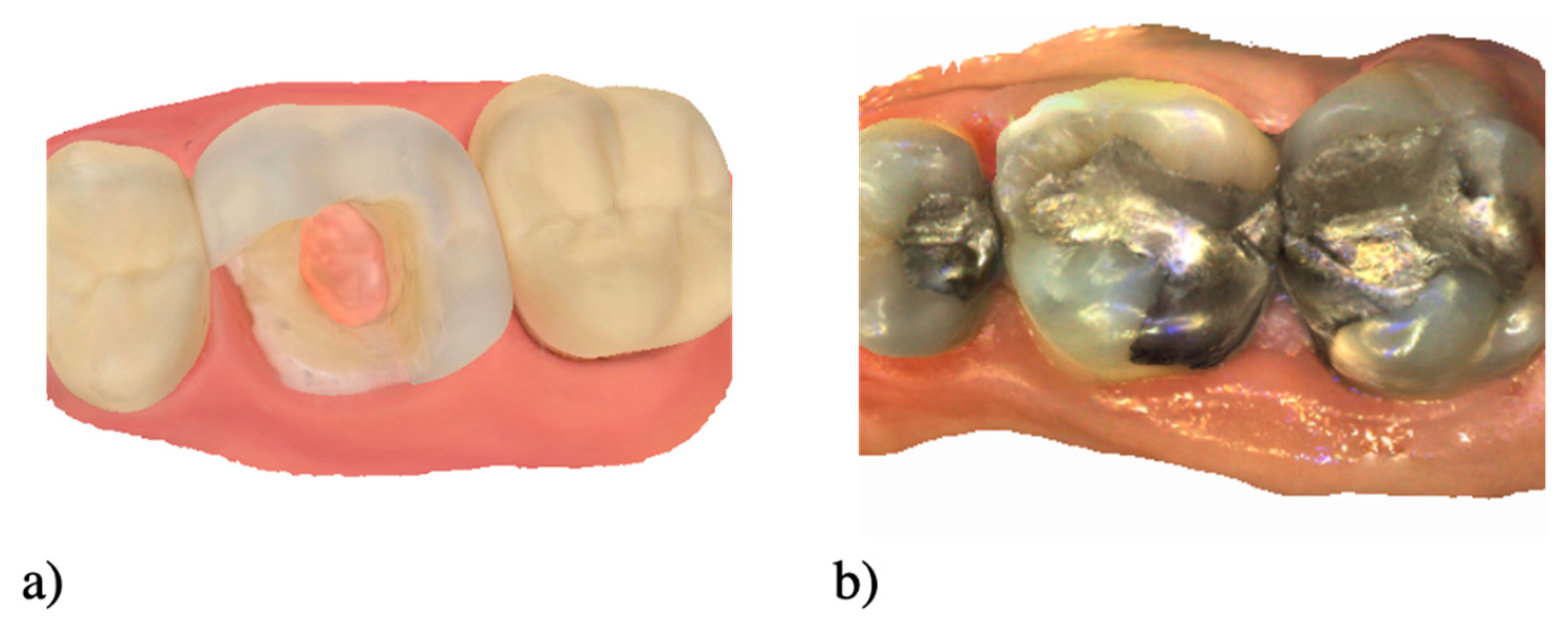Healthcare 09 00178 g002 Healthcare 09 00178 g002